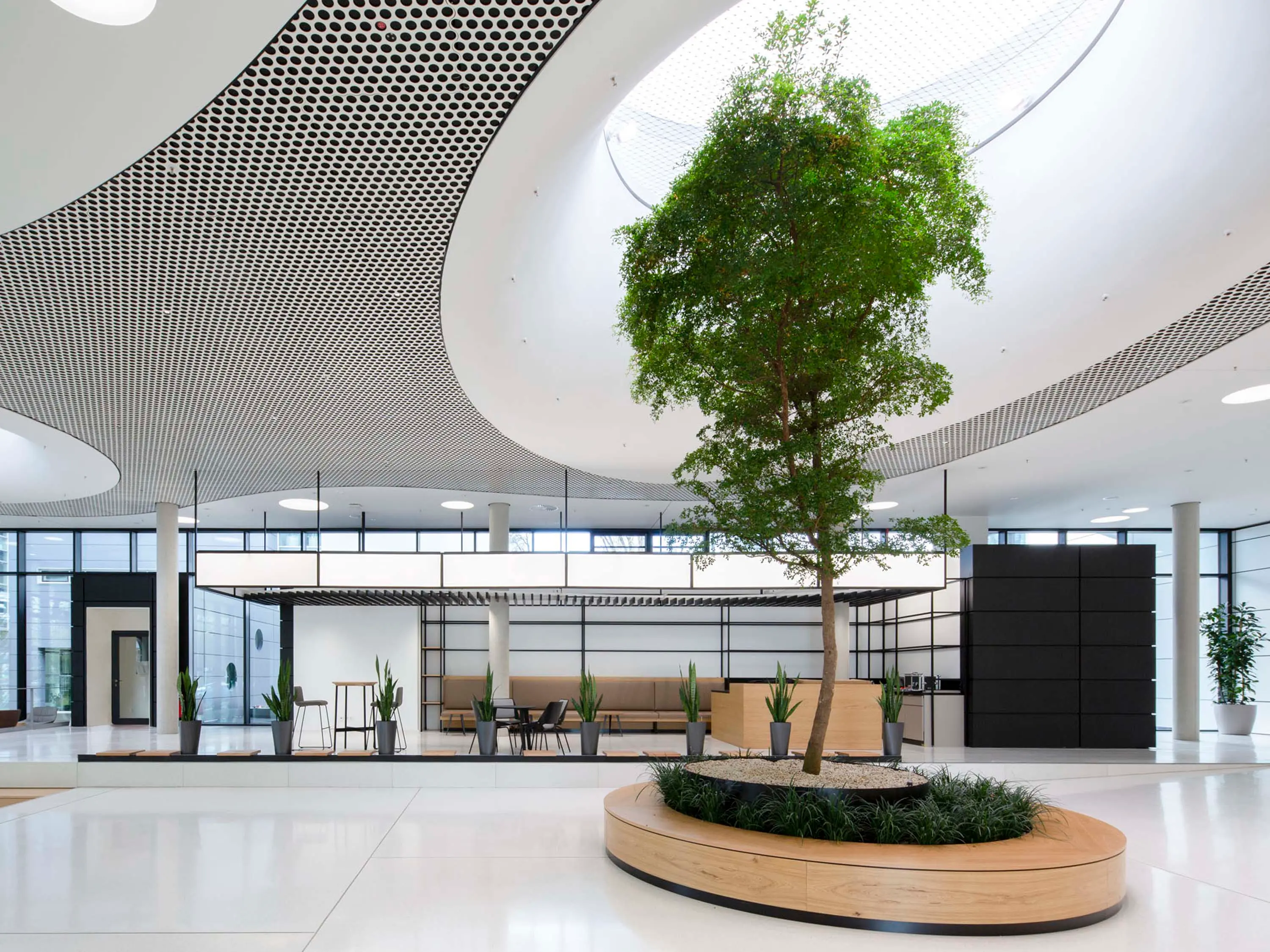 durlum - Character Design Ceiling + Lighting | Loop + Punteo-J