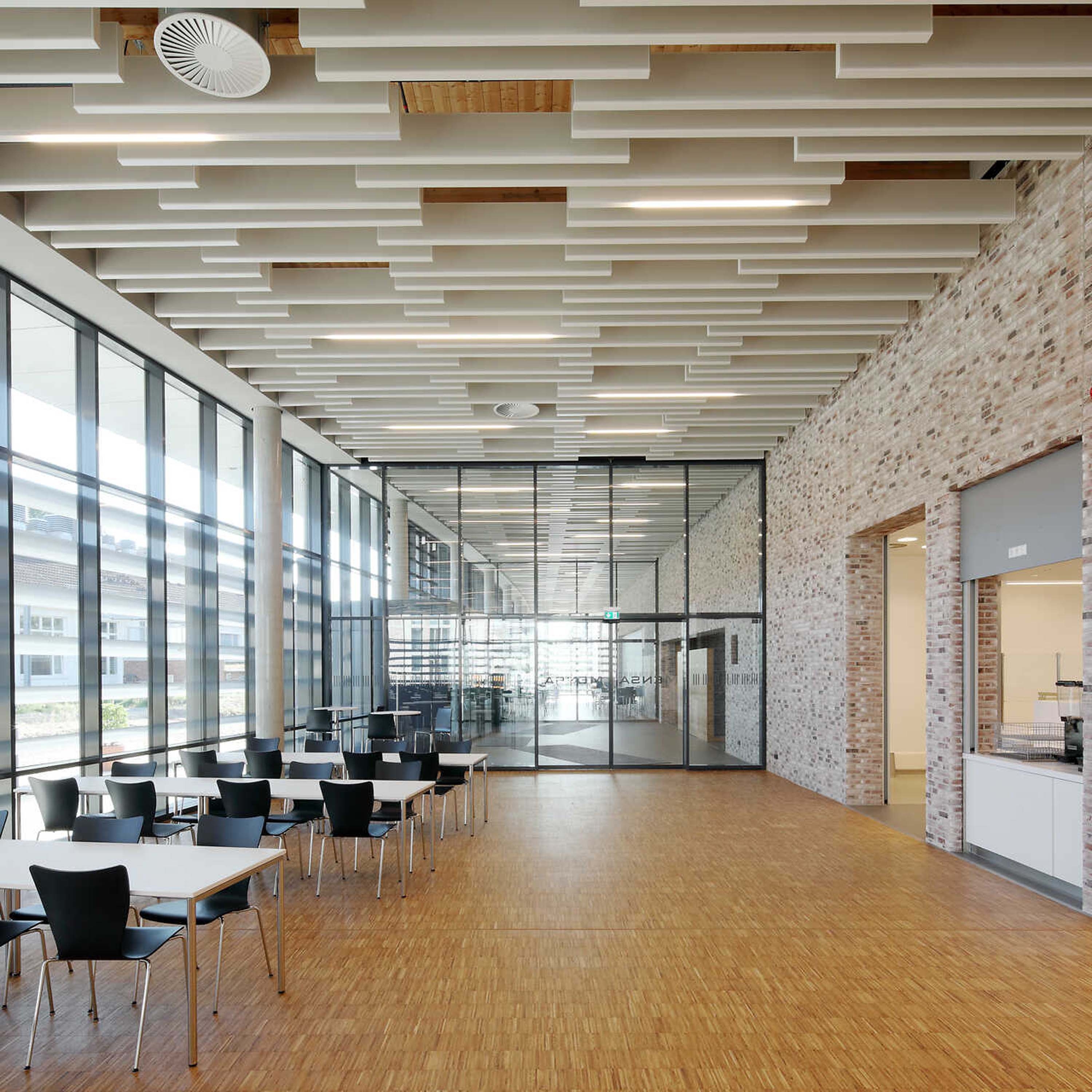 Display product Character Design Ceiling + Lighting | Polylam + Line from manufacturer durlum