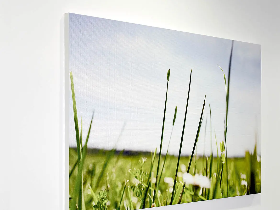 durlum - Wall Cladding | dur-Sonic Art Absorption System