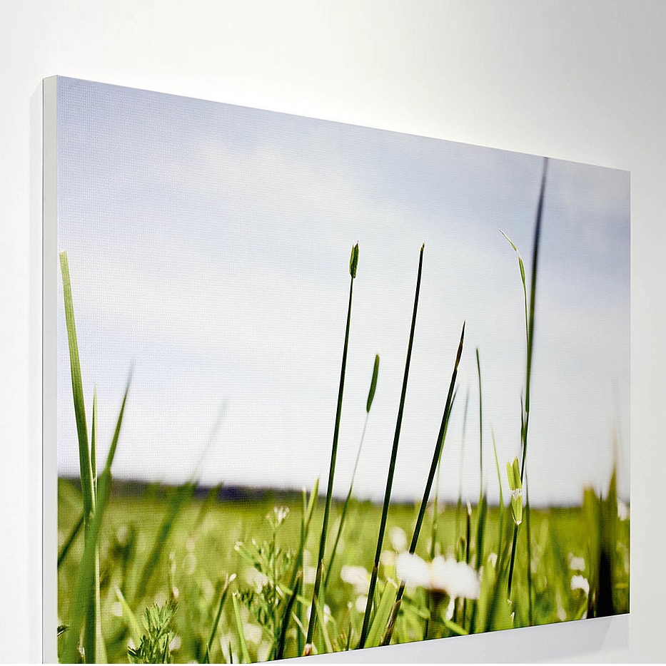 Display product Wall Cladding | dur-Sonic Art Absorption System from manufacturer durlum