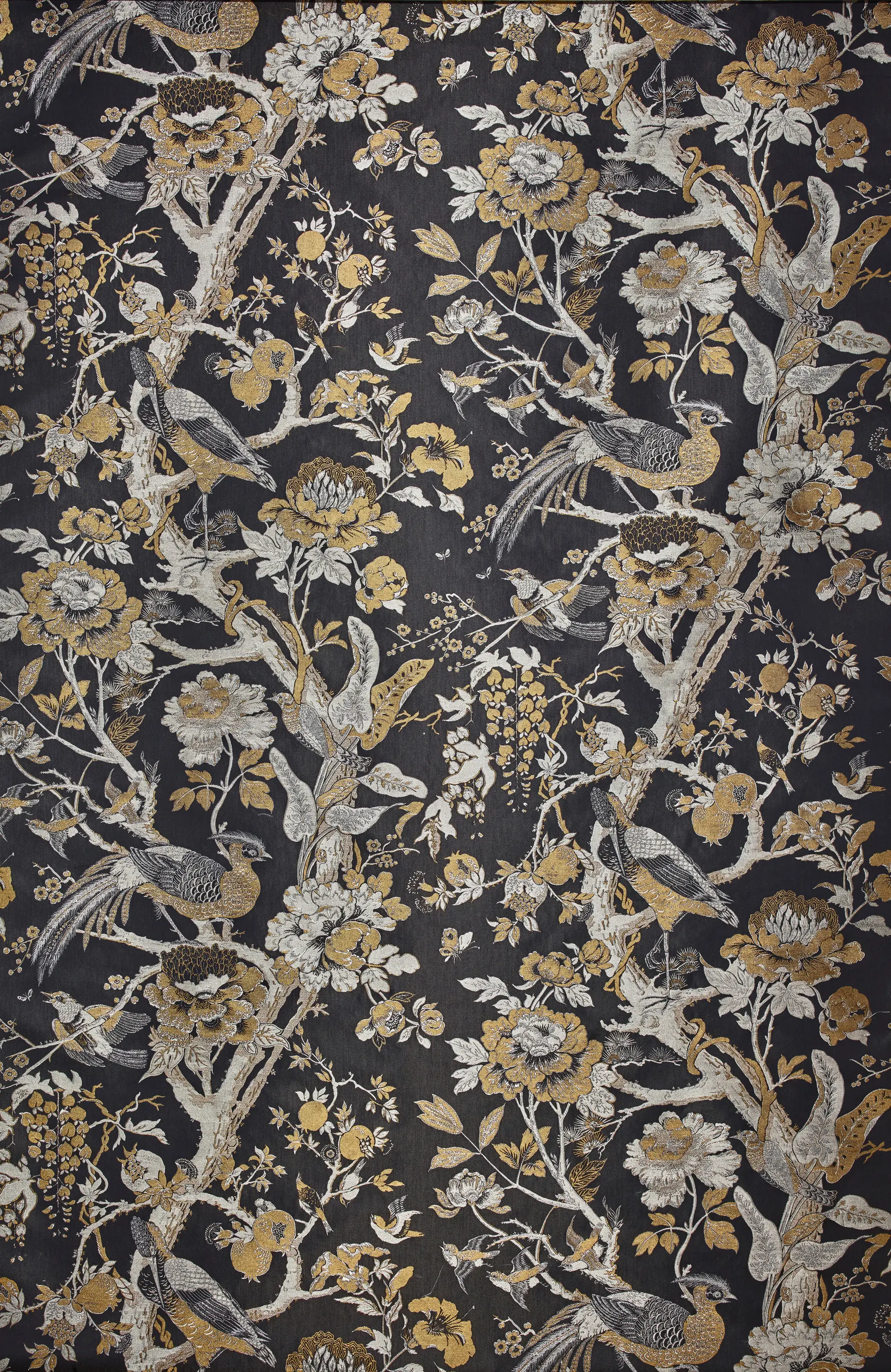 Dedar - Silkbird Jacquard col. 001