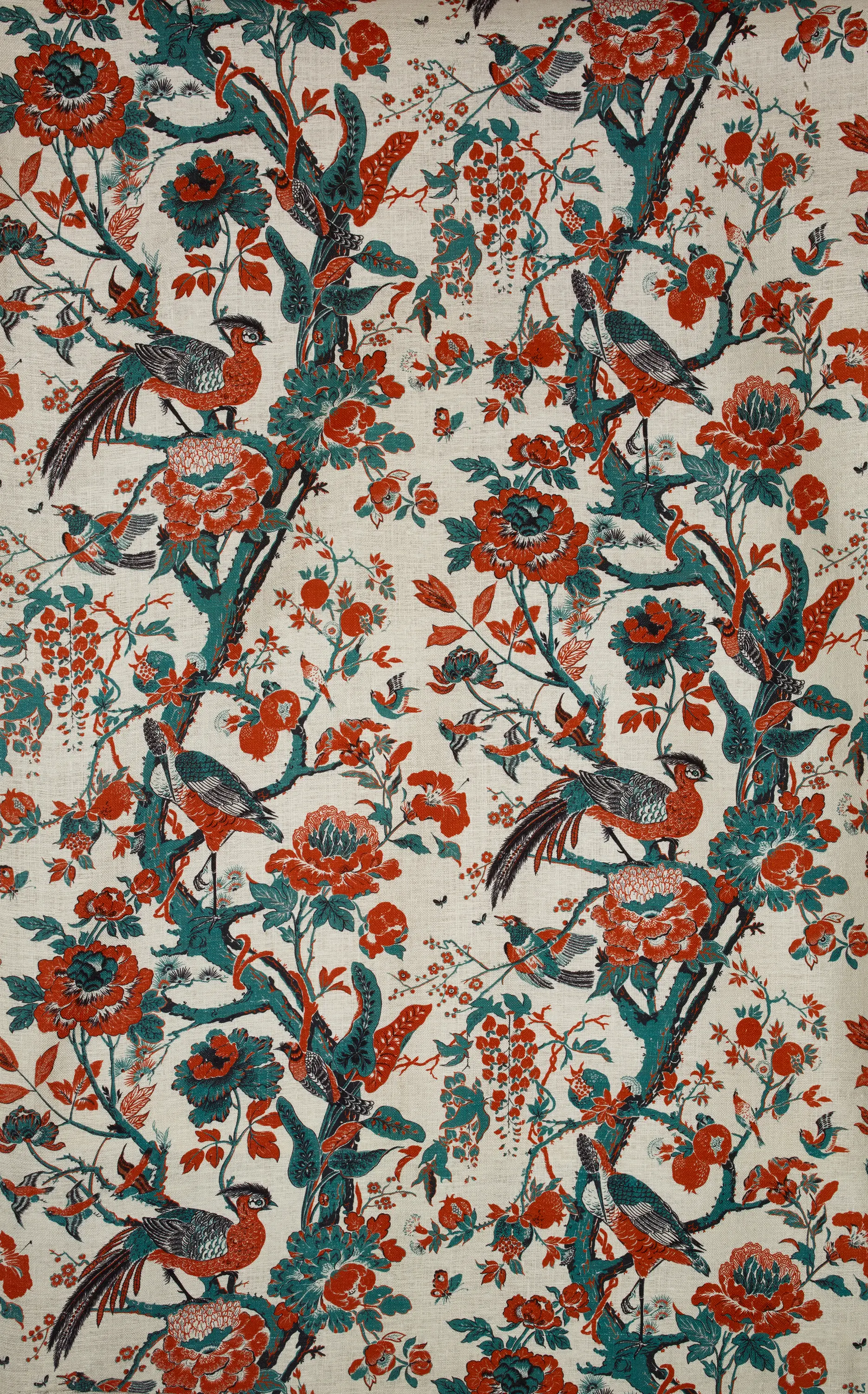 Dedar - Silkbird col. 001