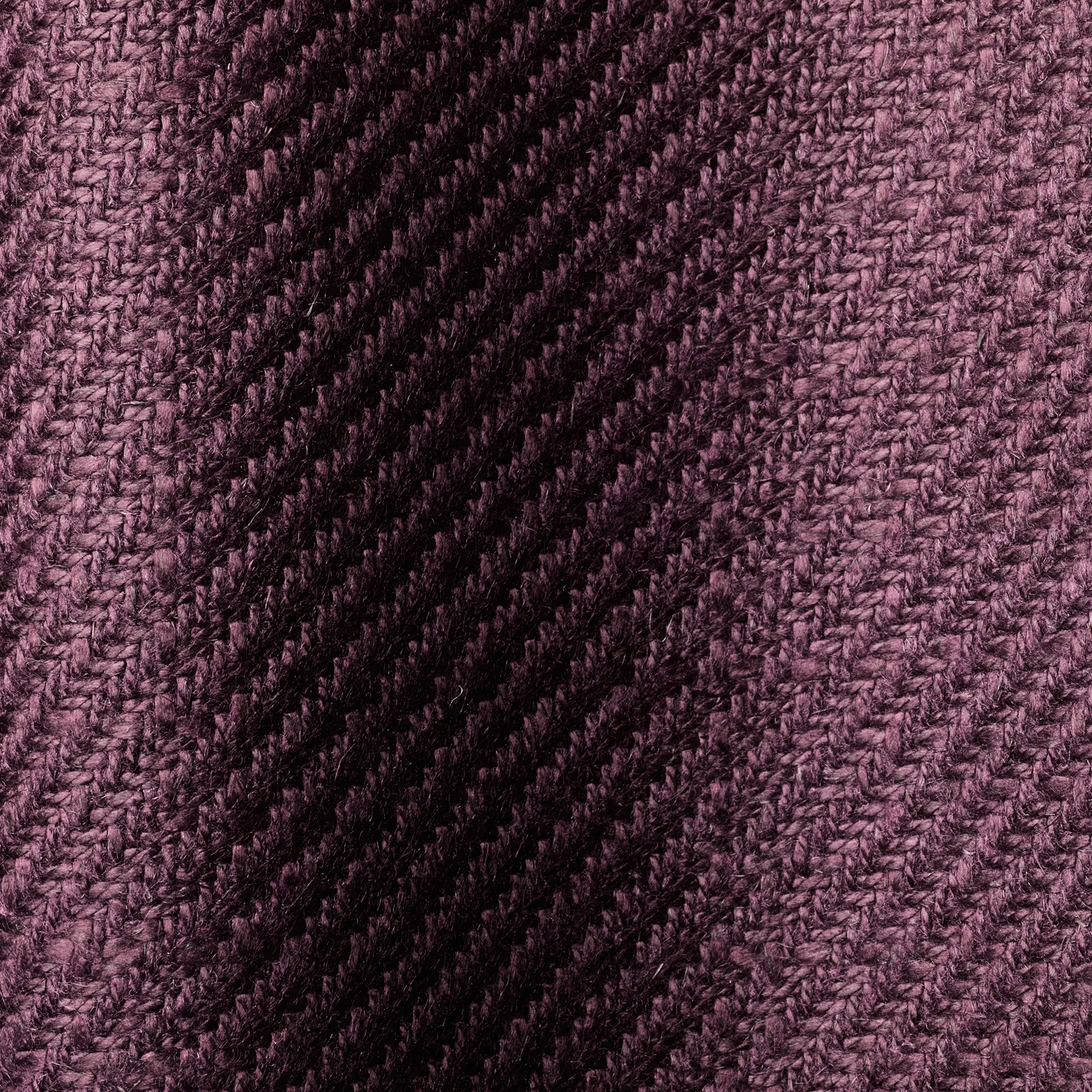 Arbus col. 004