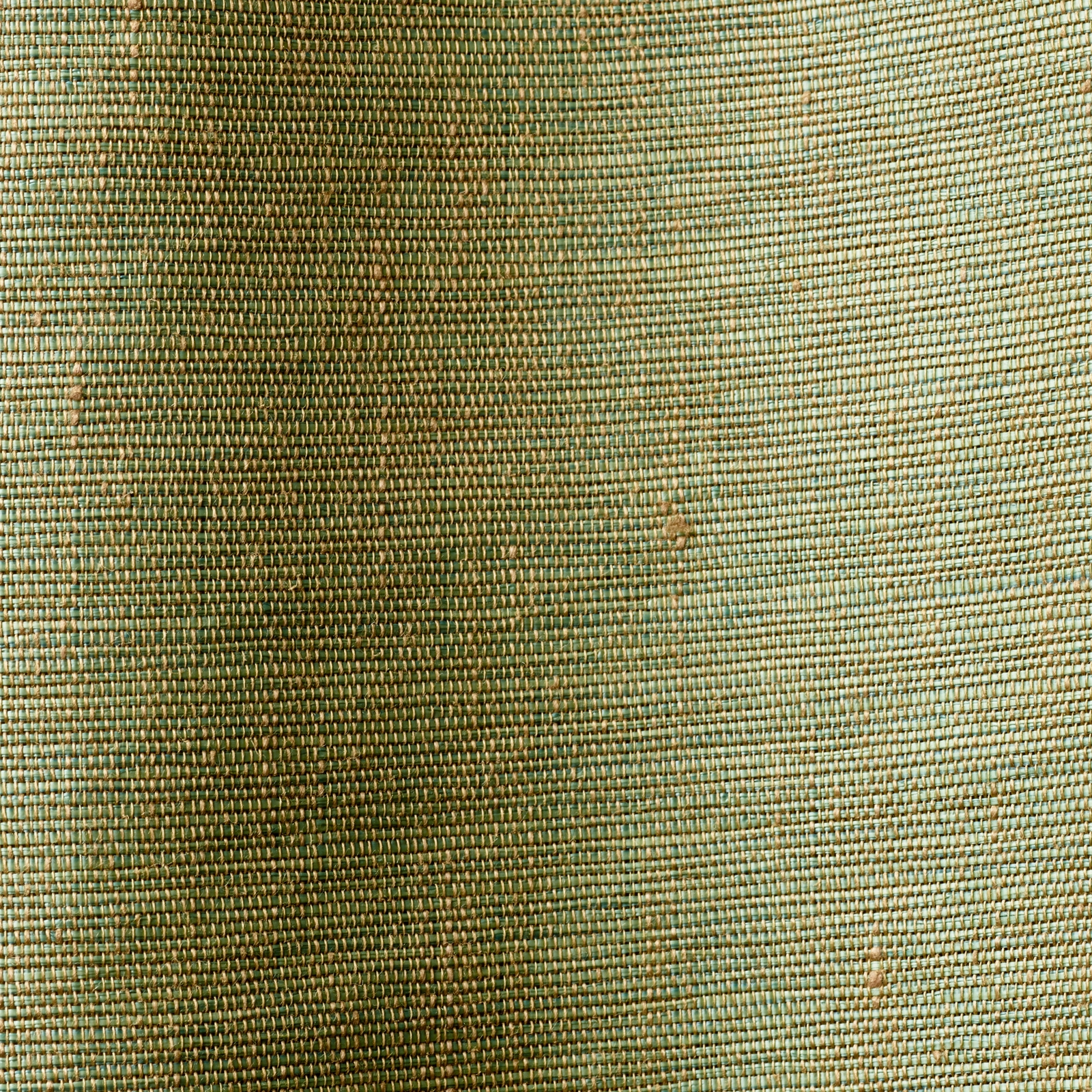 Gazelle col. 002
