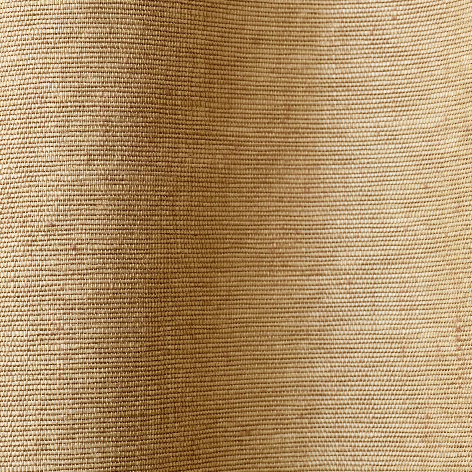 Gazelle col. 004