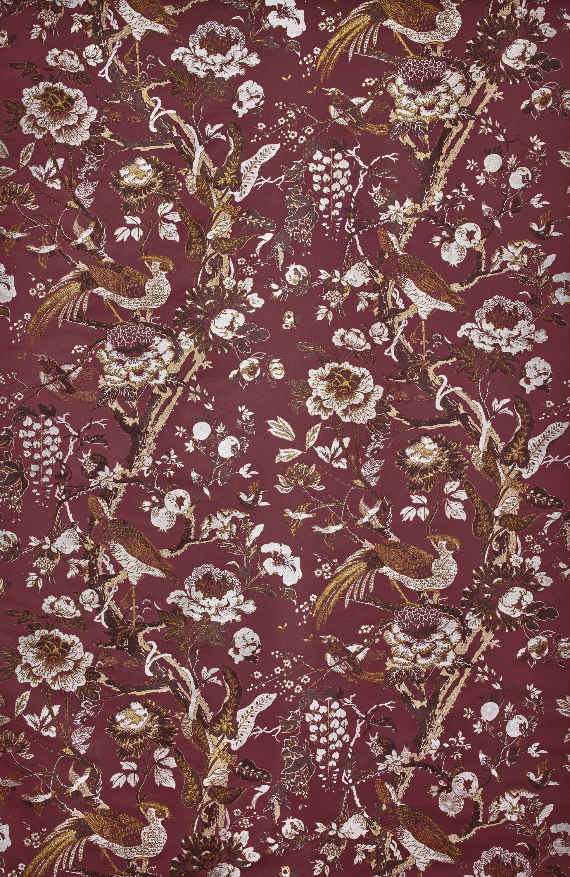 Dedar - Silkbird Jacquard col. 002