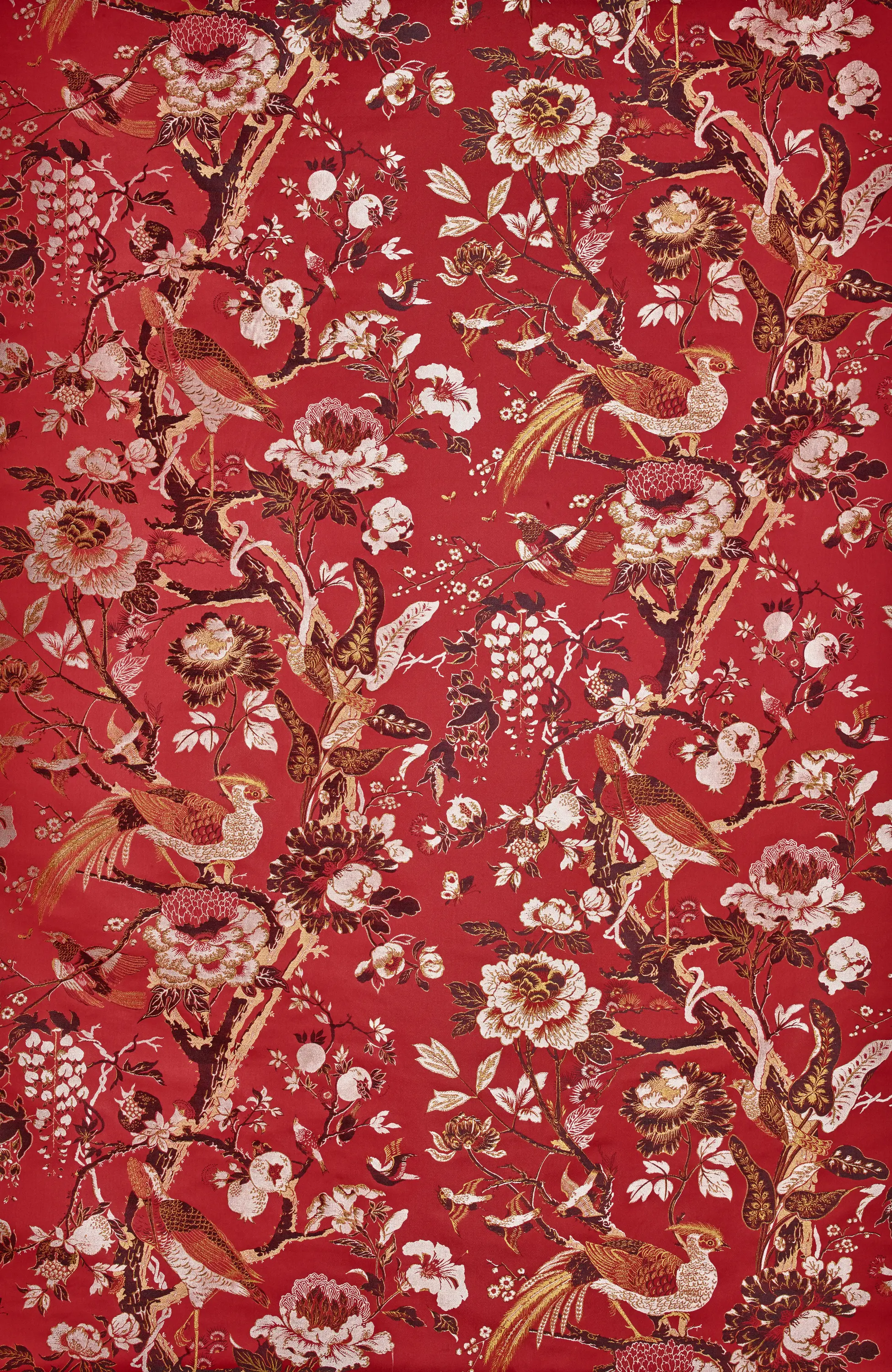 Dedar - Silkbird Jacquard col. 003