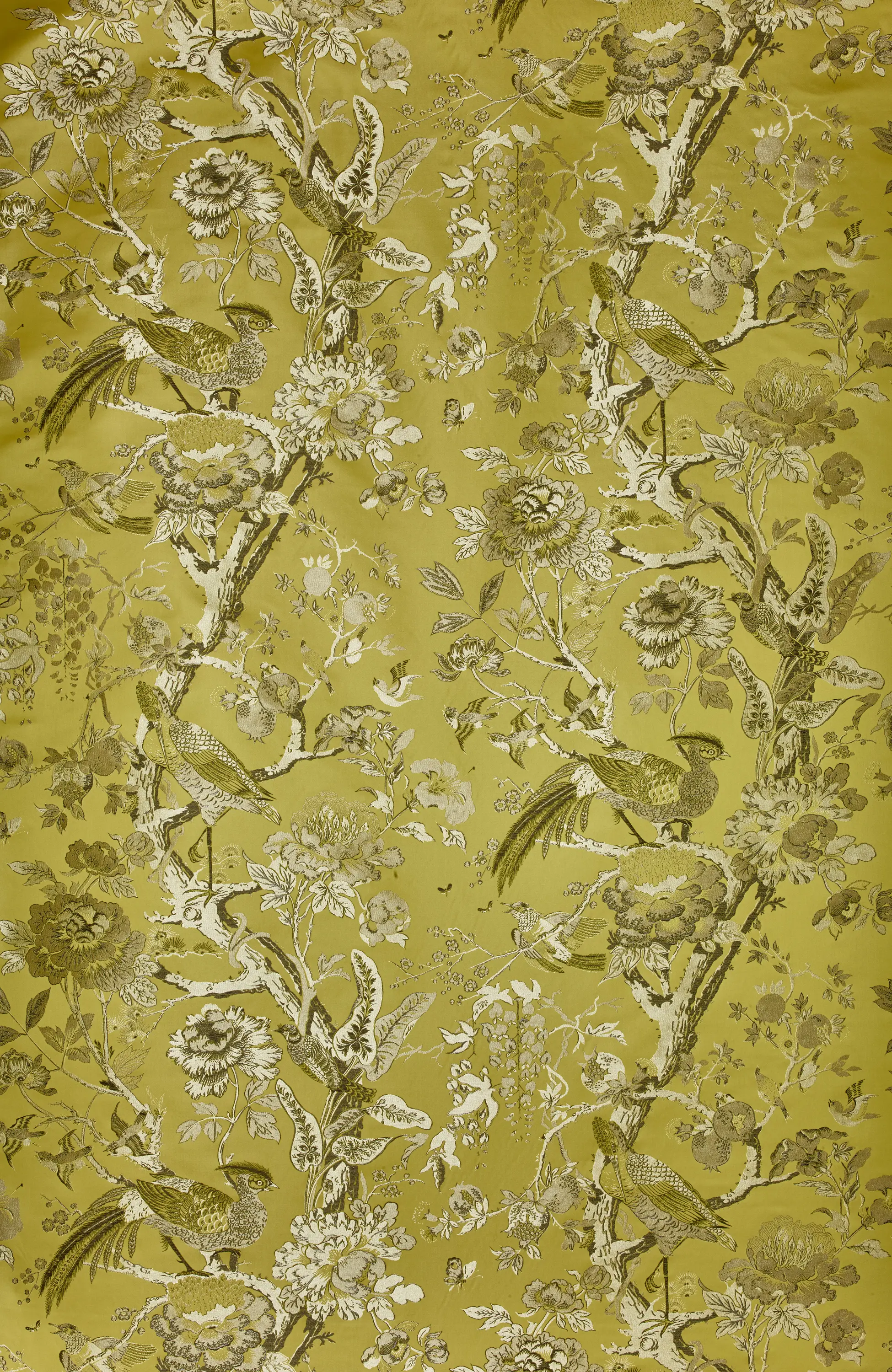Dedar - Silkbird Jacquard col. 006
