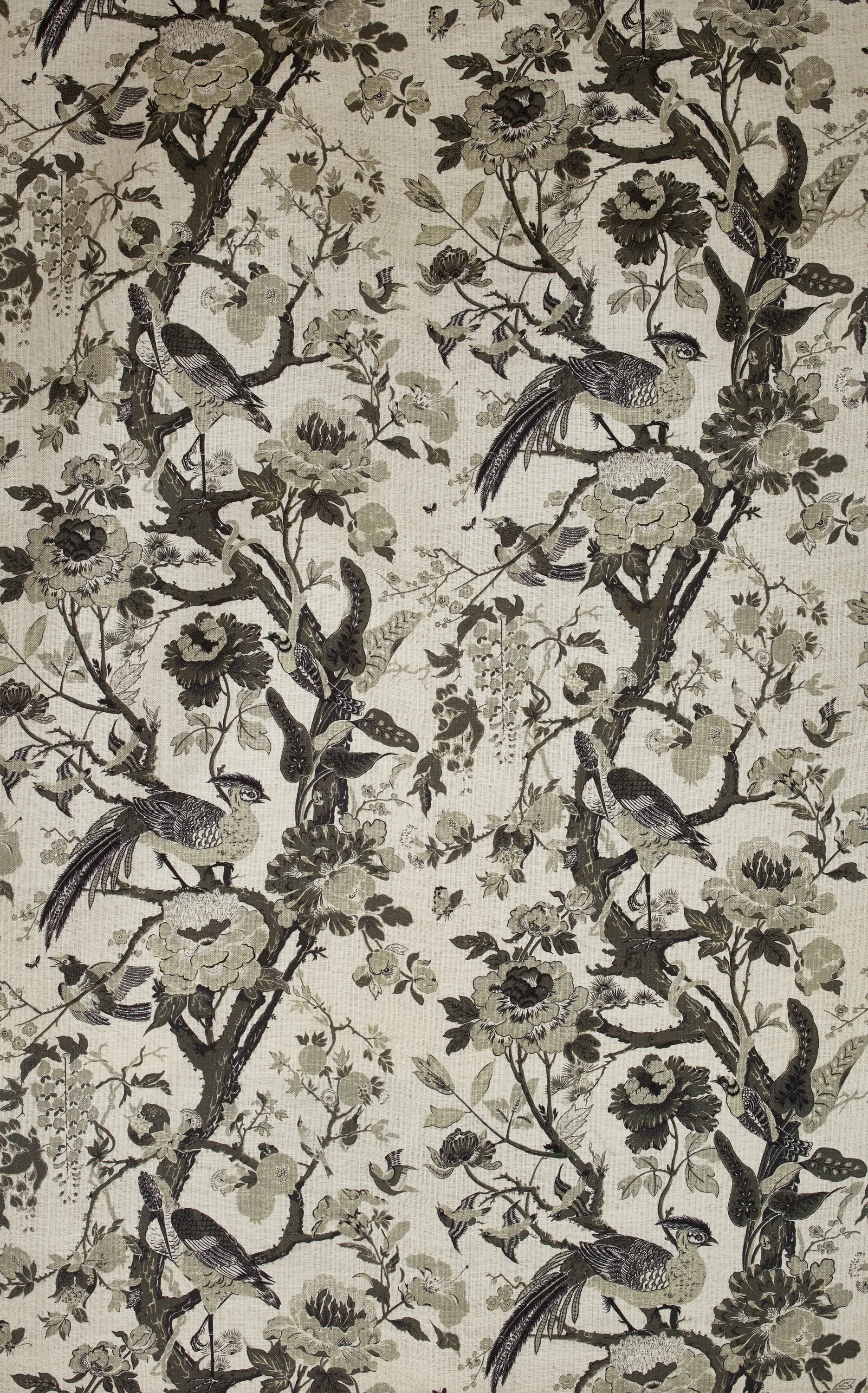 Dedar - Silkbird col. 002