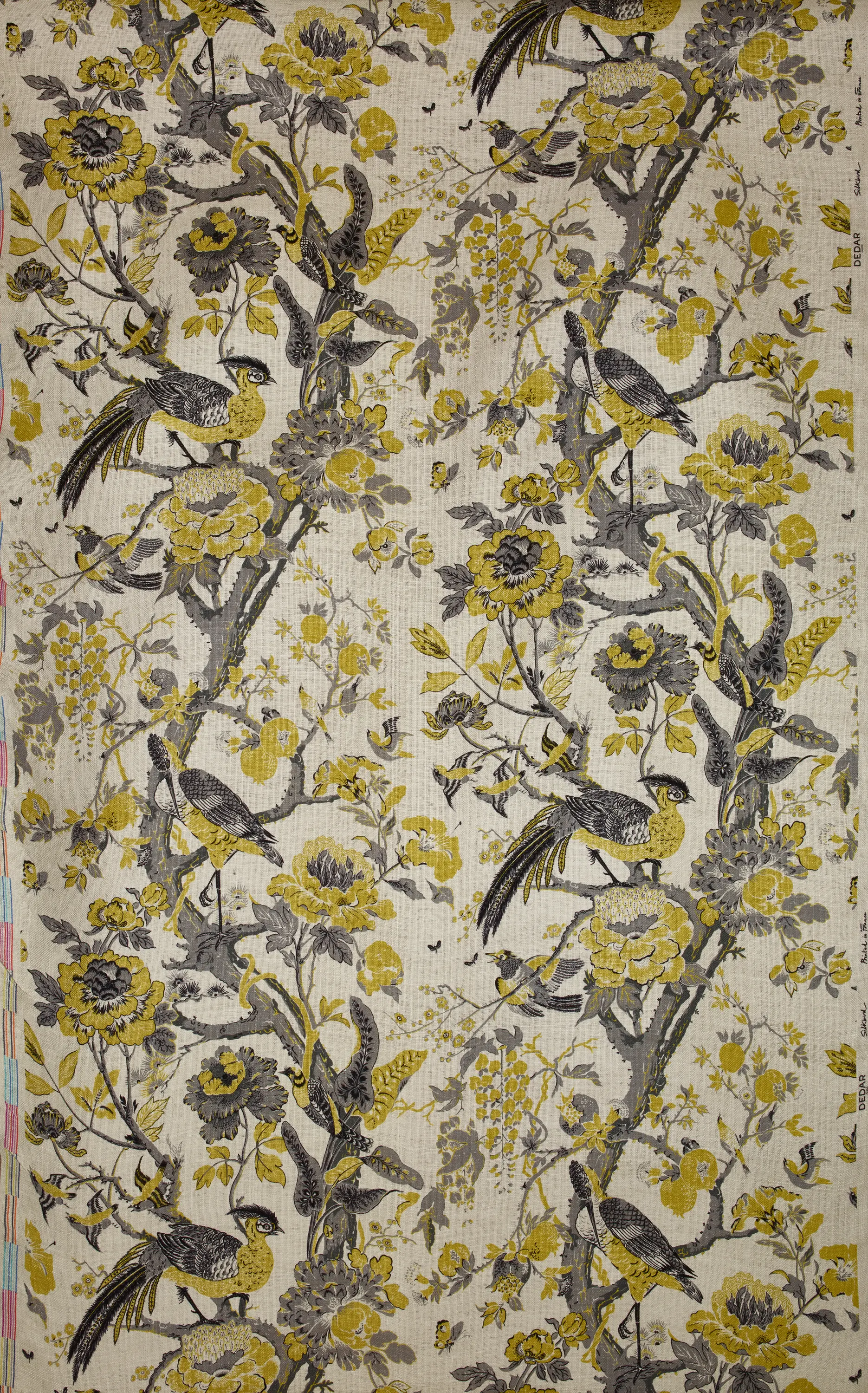Dedar - Silkbird col. 003