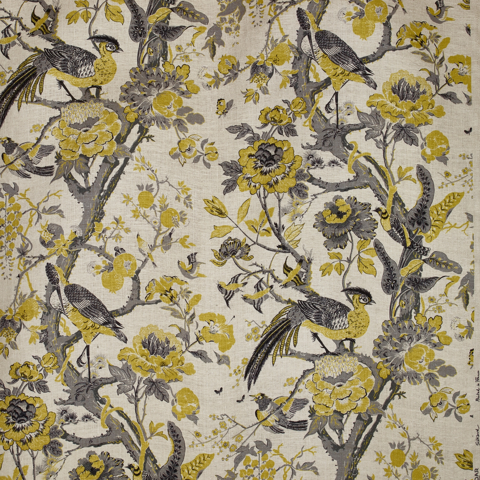 Silkbird col. 003