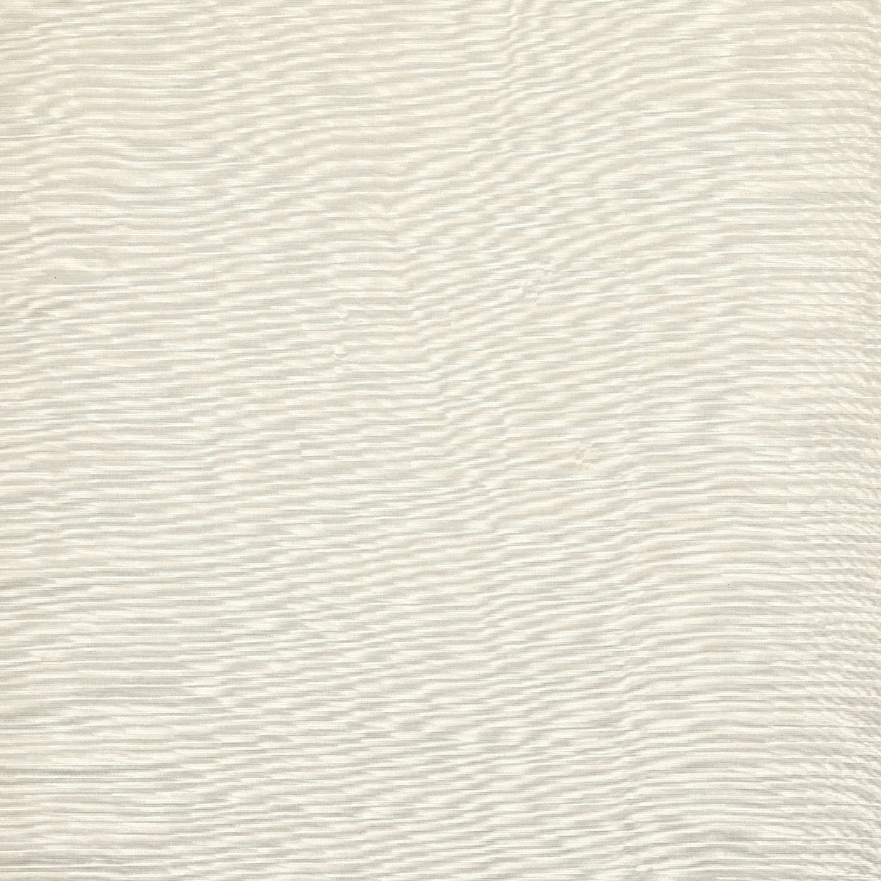 Iris | Col.5 Perla