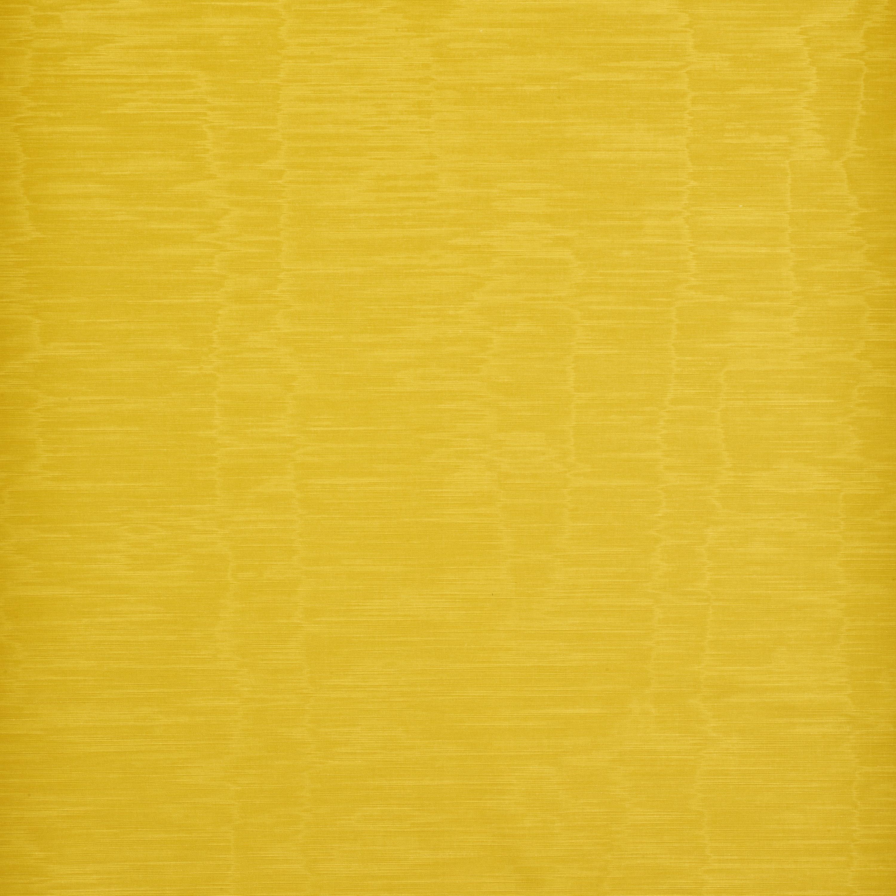 Iris | Col.30 Sole