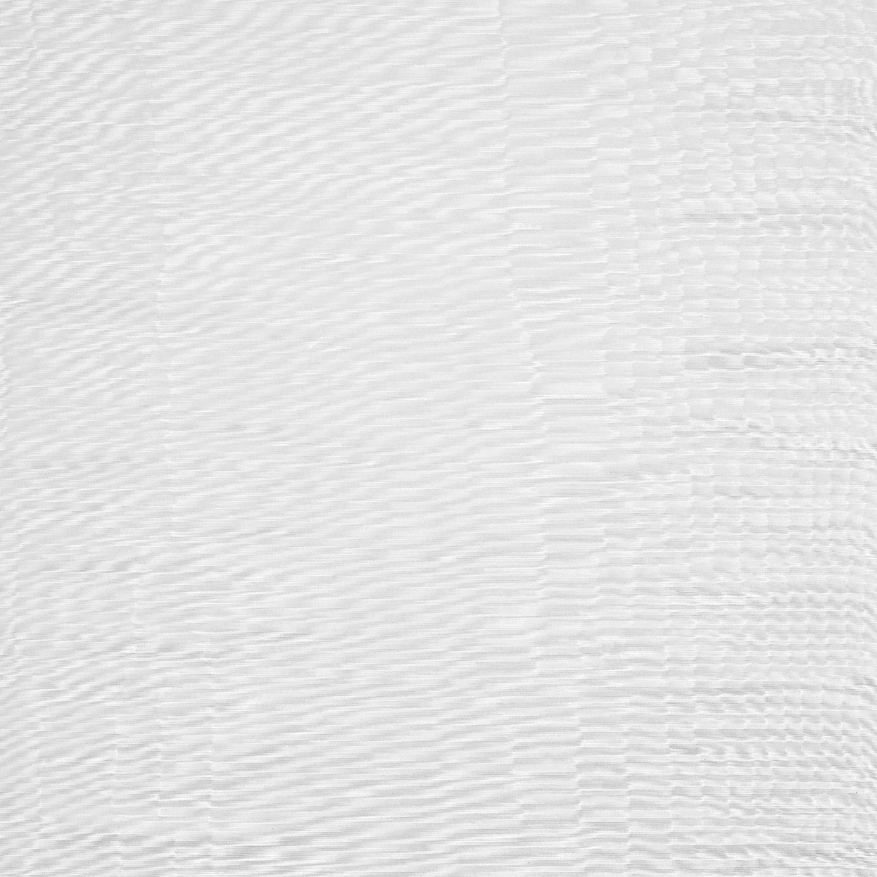 Iris | Col.42 Bianco
