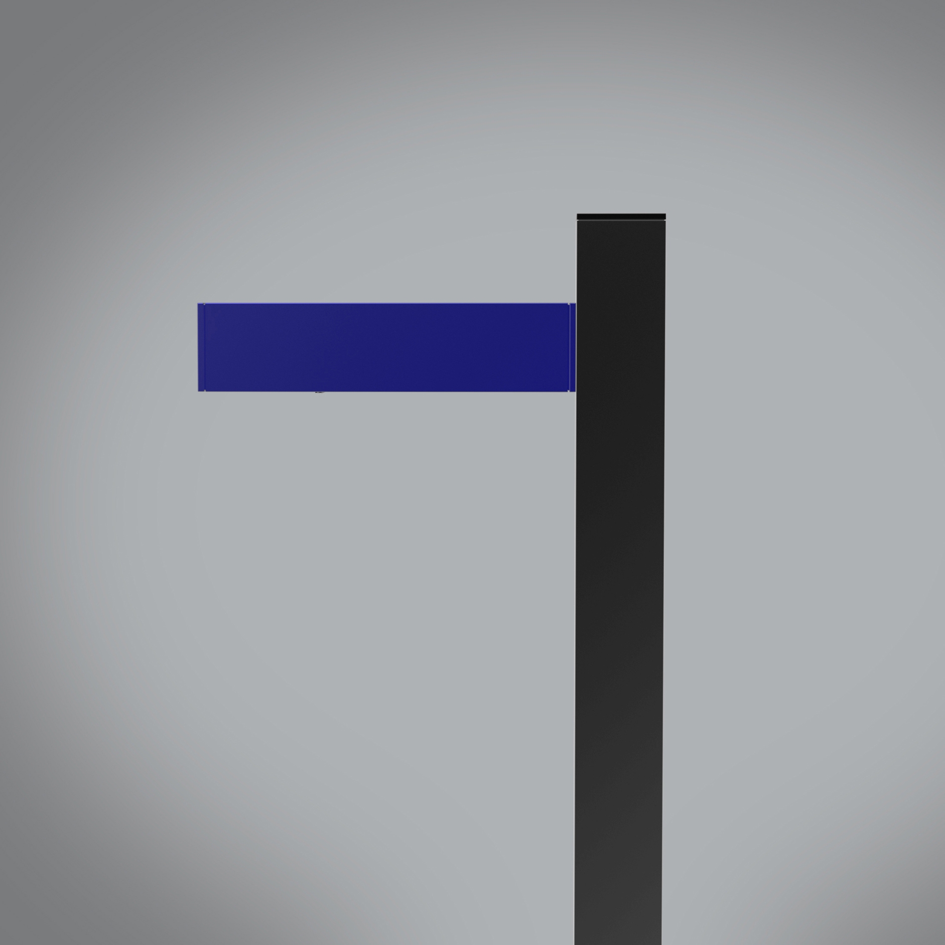 Walking Pole