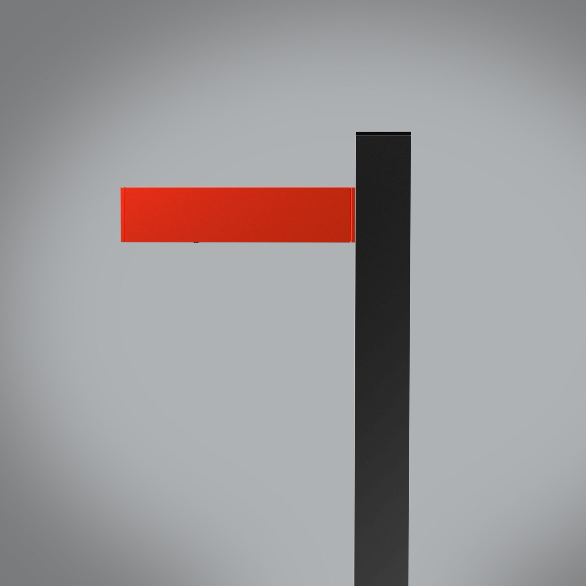 Walking Pole