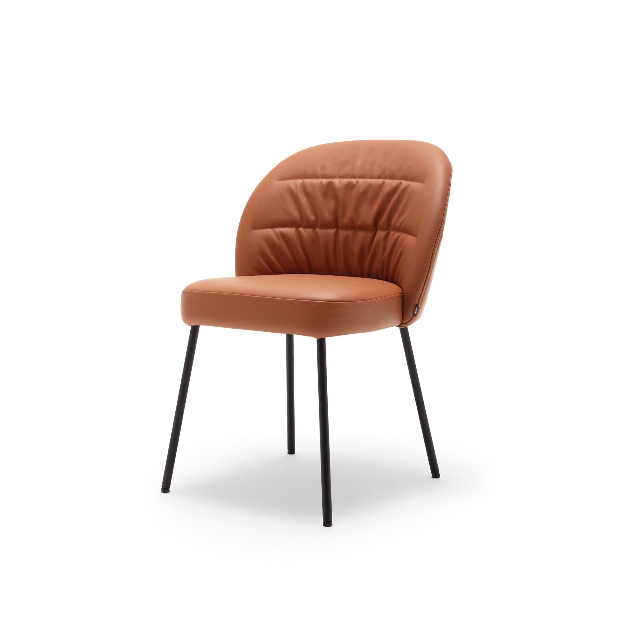 Display product Rolf Benz 690 NOA from manufacturer Rolf Benz