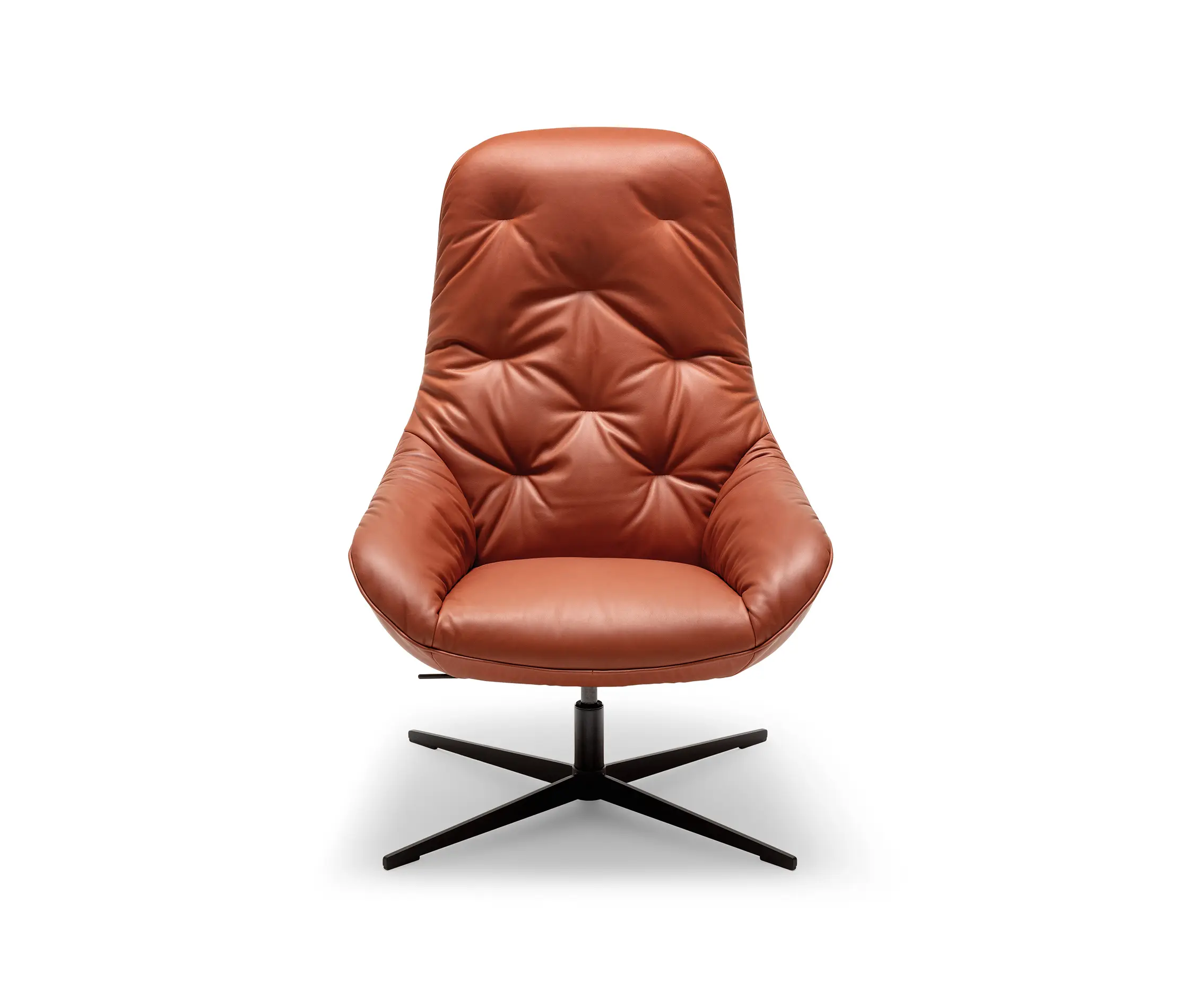 ROLF BENZ 586 MEG - Armchairs from Rolf Benz | Architonic