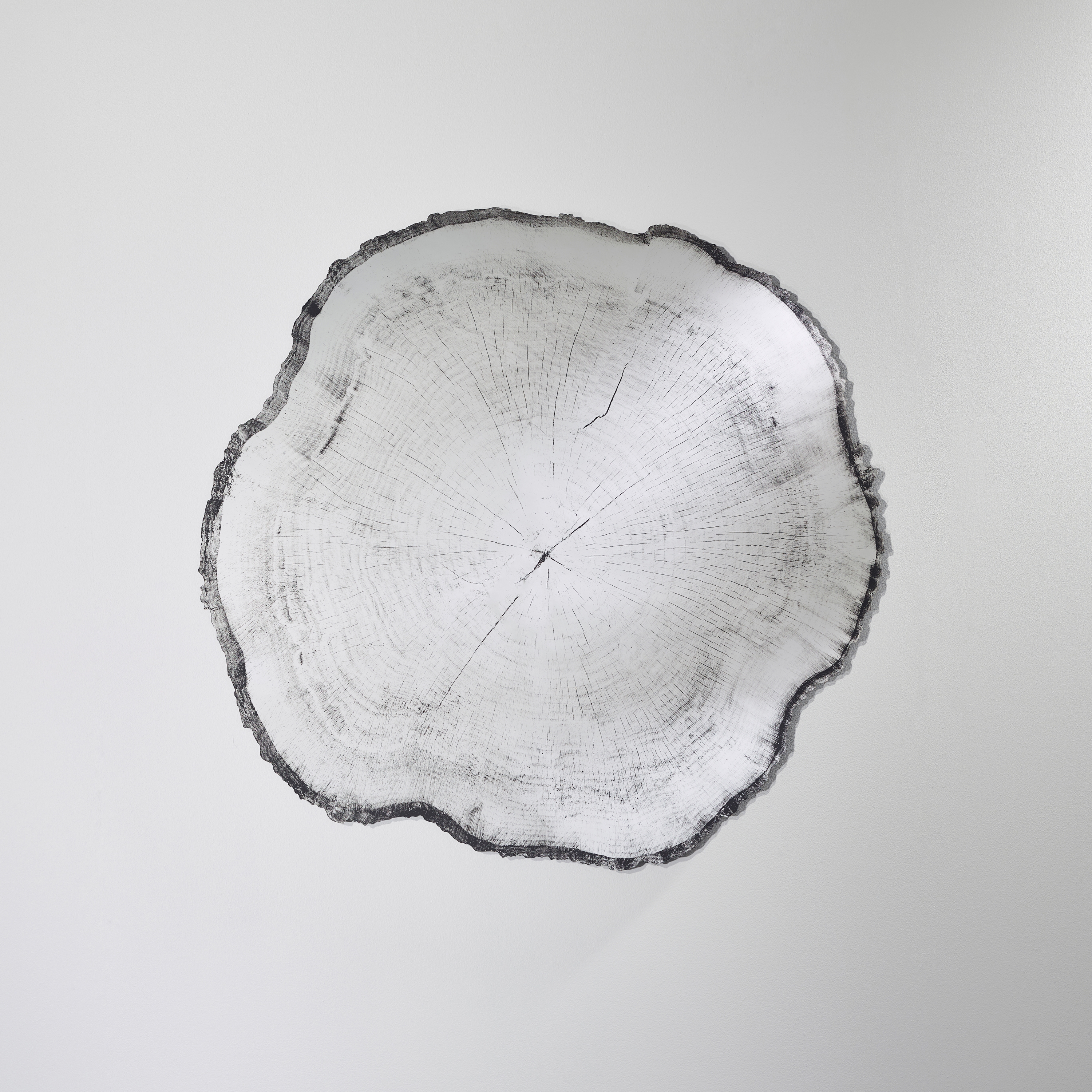 Produkt Arbo Dark L des Herstellers Deknudt Mirrors anzeigen