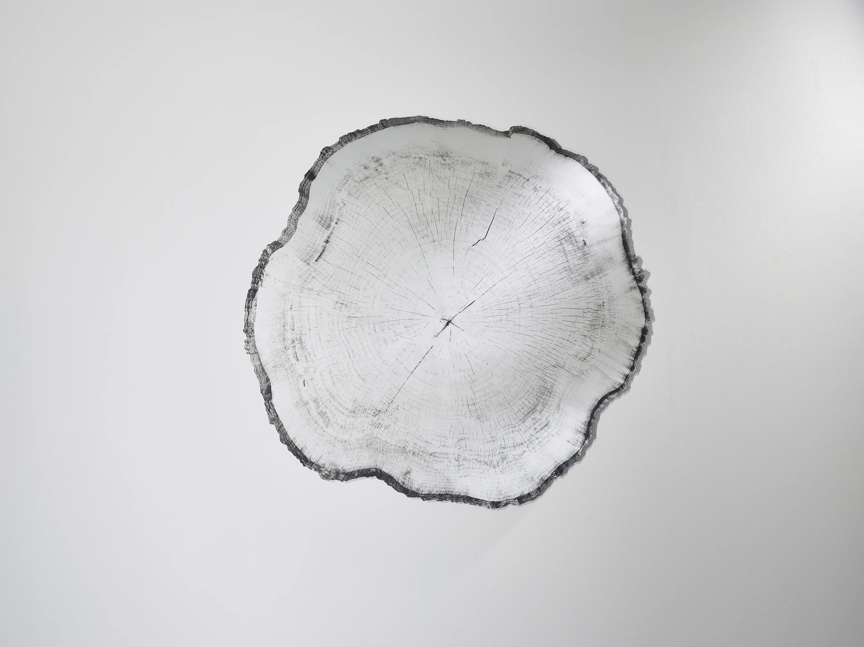 Deknudt Mirrors - Arbo Dark L