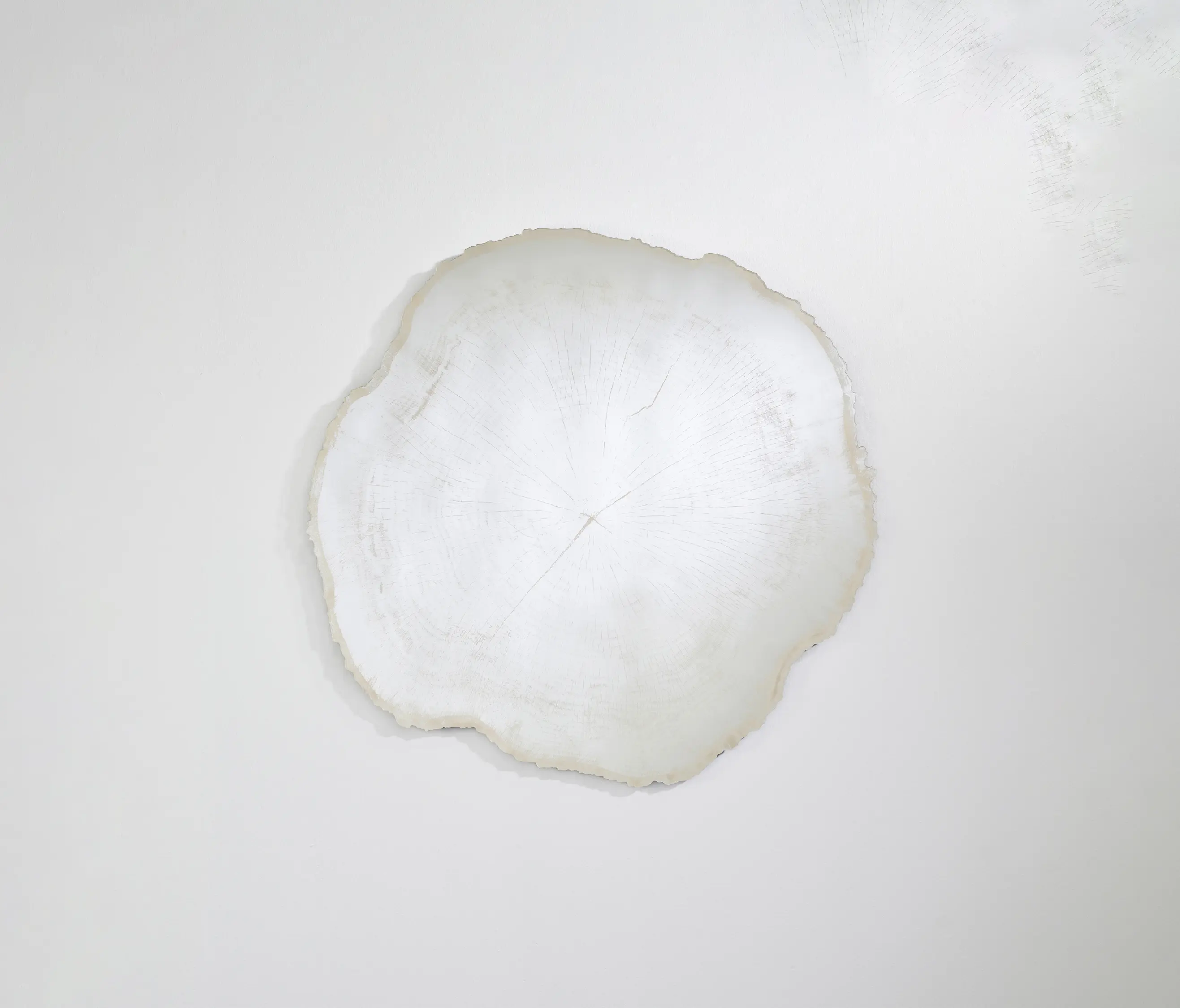 Deknudt Mirrors - Arbo Ice M