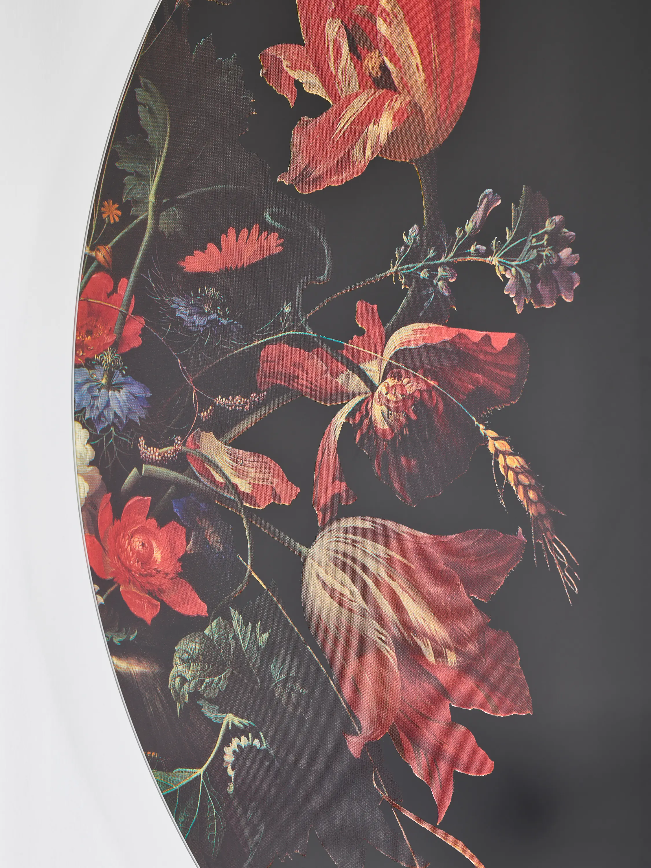 Deknudt Mirrors - Museo
