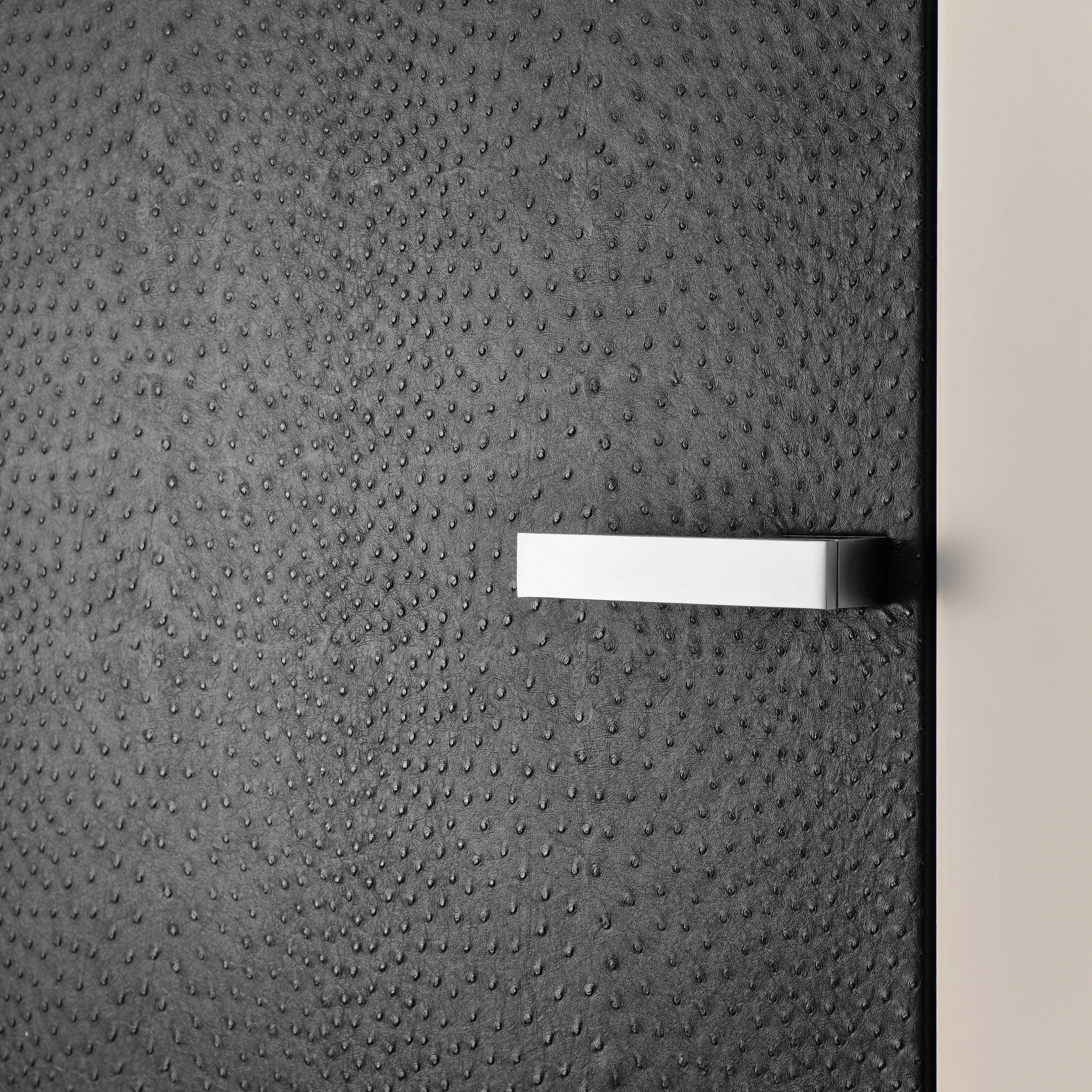 DOORS WITH SPECIAL SURFACES