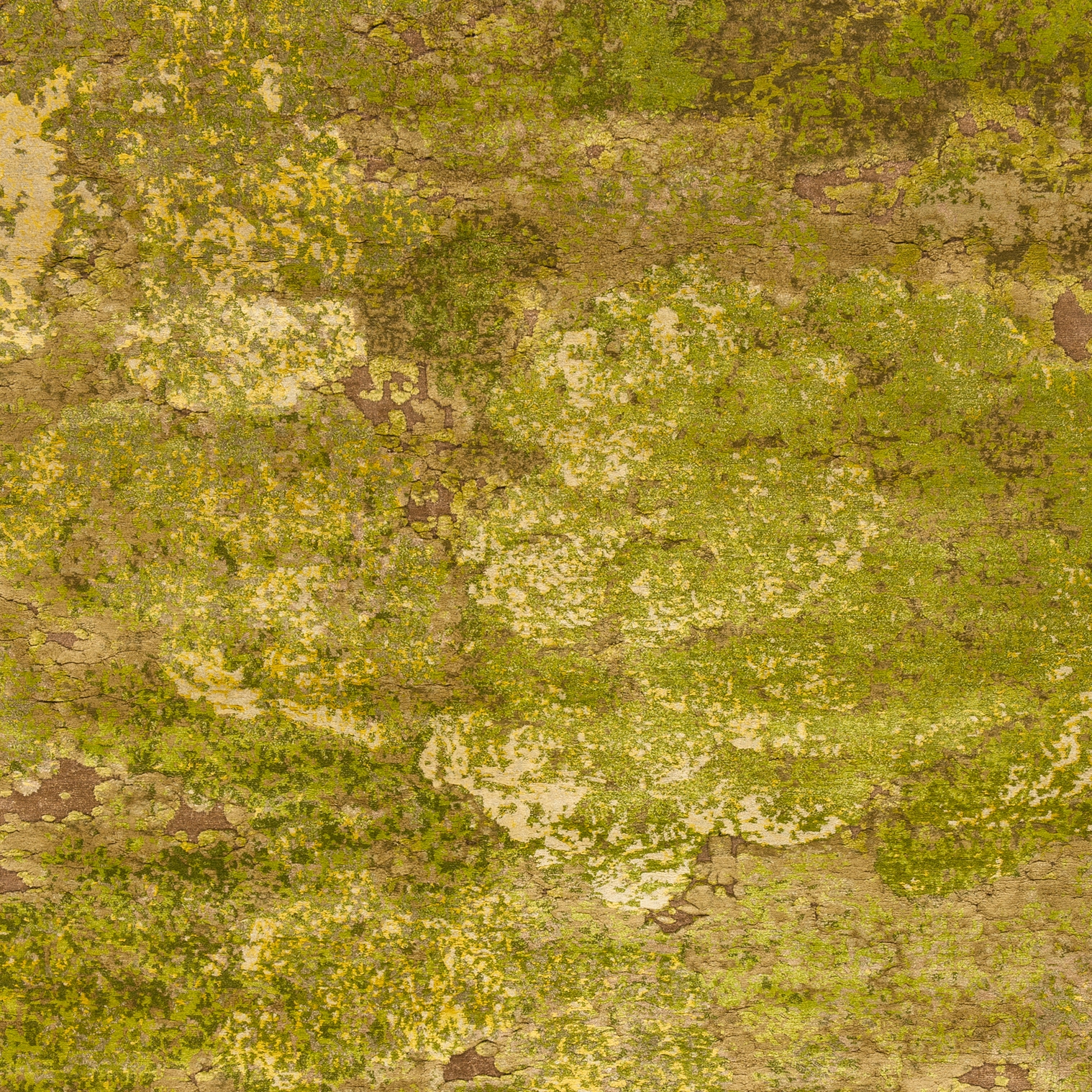Display product Jungle | Aerial Forest from manufacturer Jan Kath
