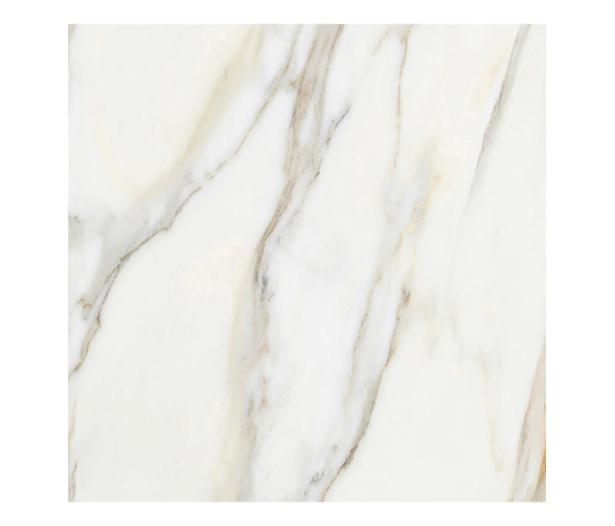 Apavisa - Borghini White
