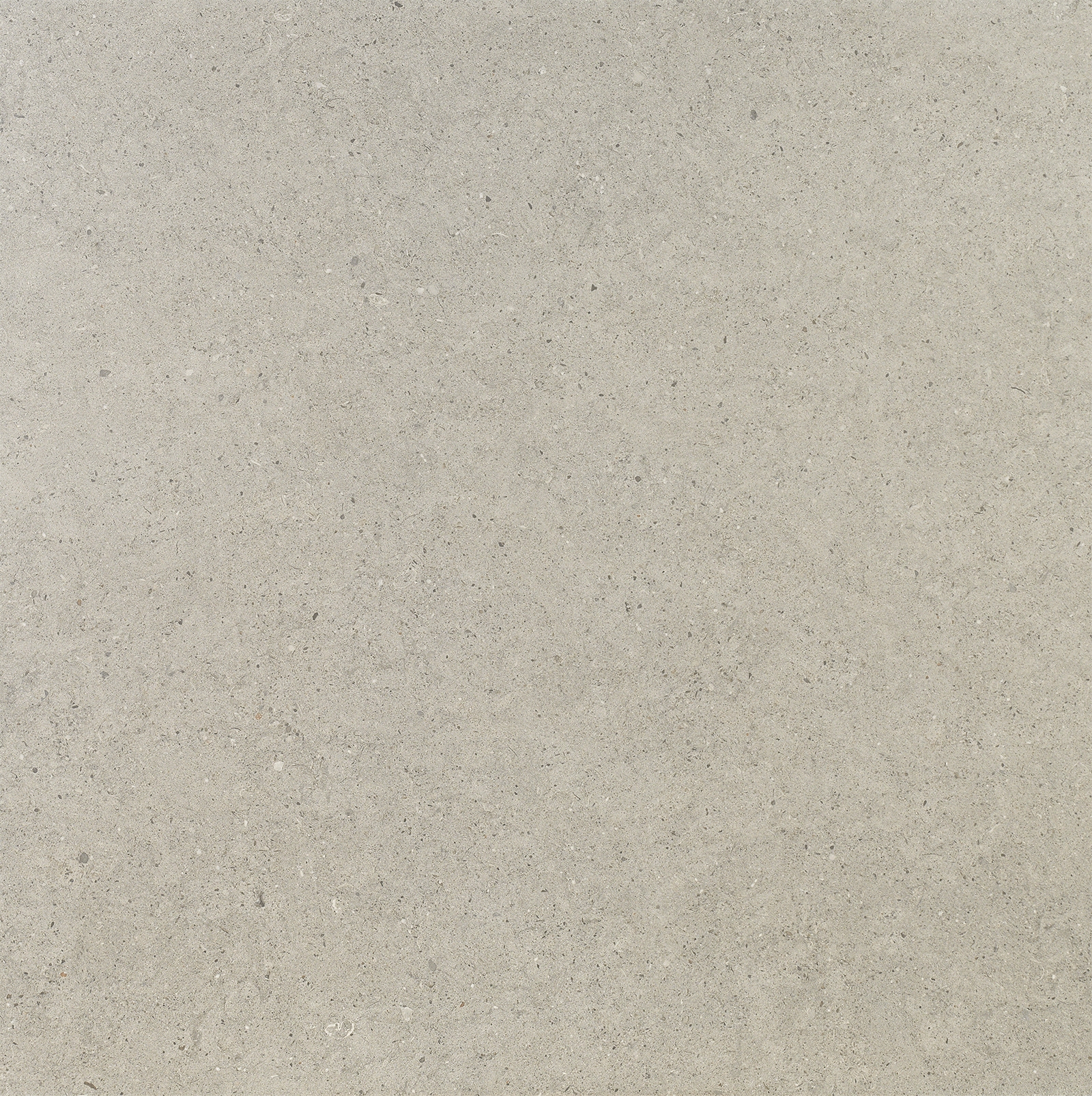 Nanoconcept Grey Mix