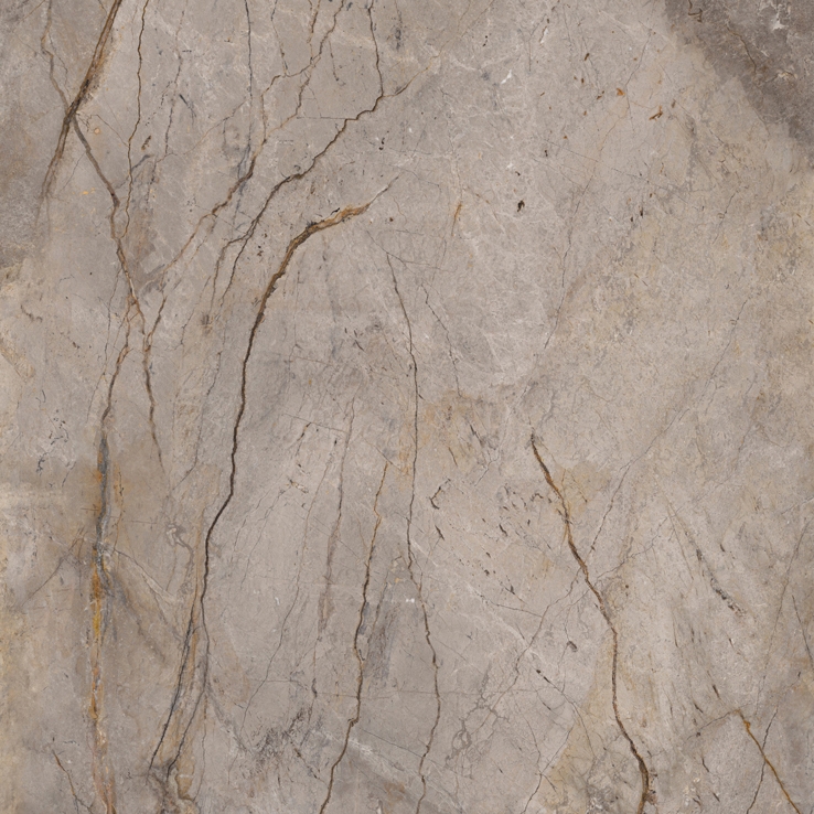 Mostra il prodotto Wild Forest Grey del produttore Apavisa