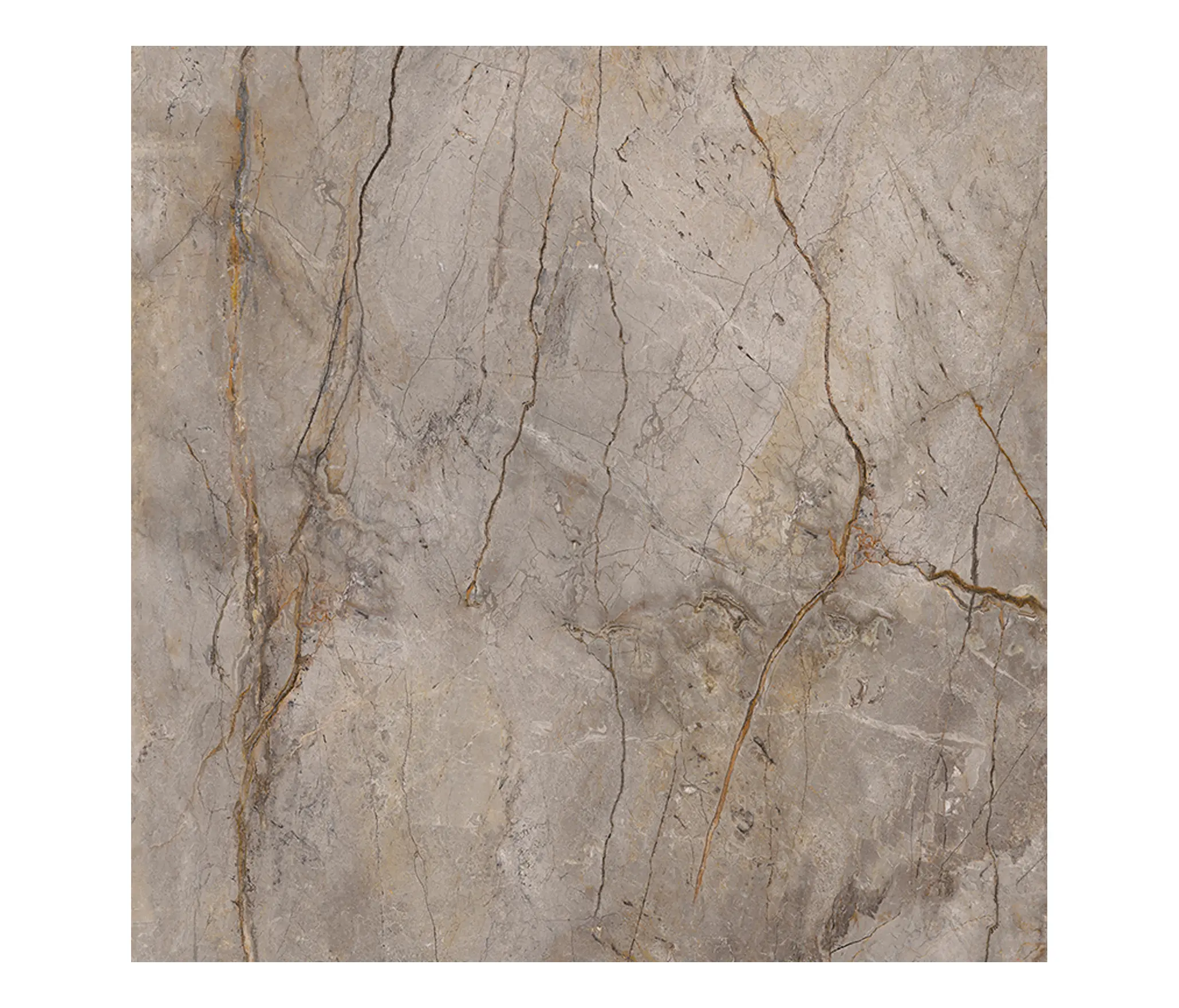 Apavisa - Wild Forest Grey