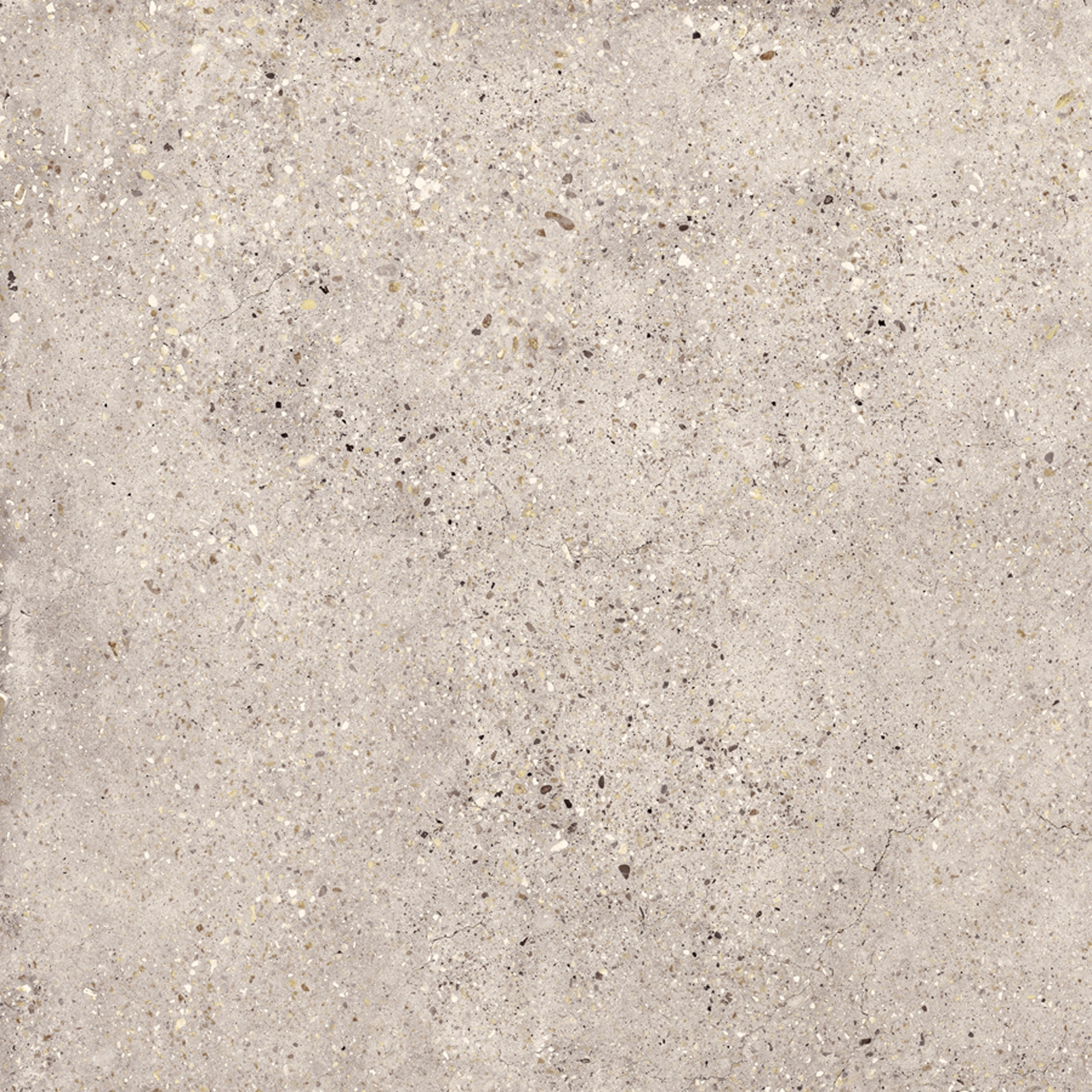 Wind Ivory
