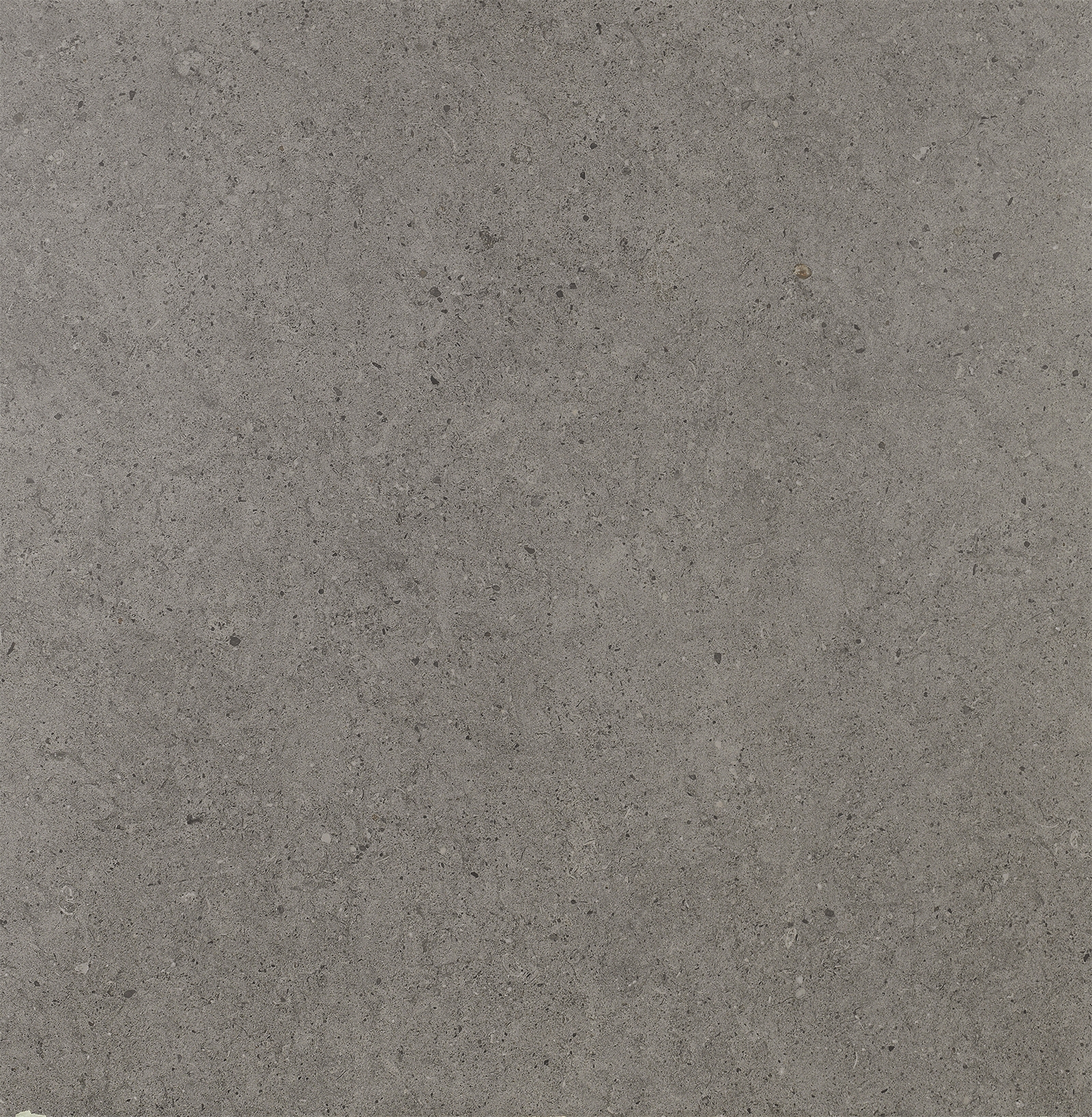 Mostra il prodotto Nanoconcept Anthracite del produttore Apavisa