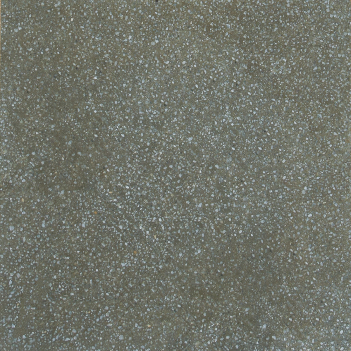 Terrazzo Moss
