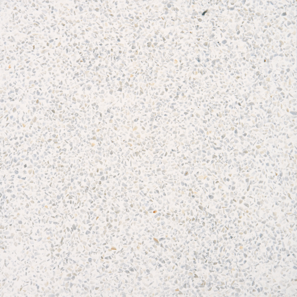 Terrazzo White