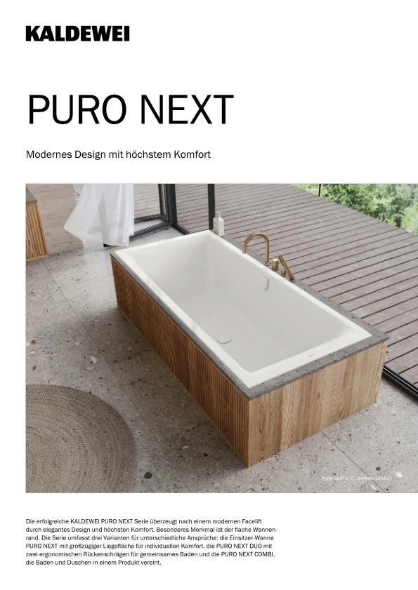 Imagen de vista previa del archivo Puro Next