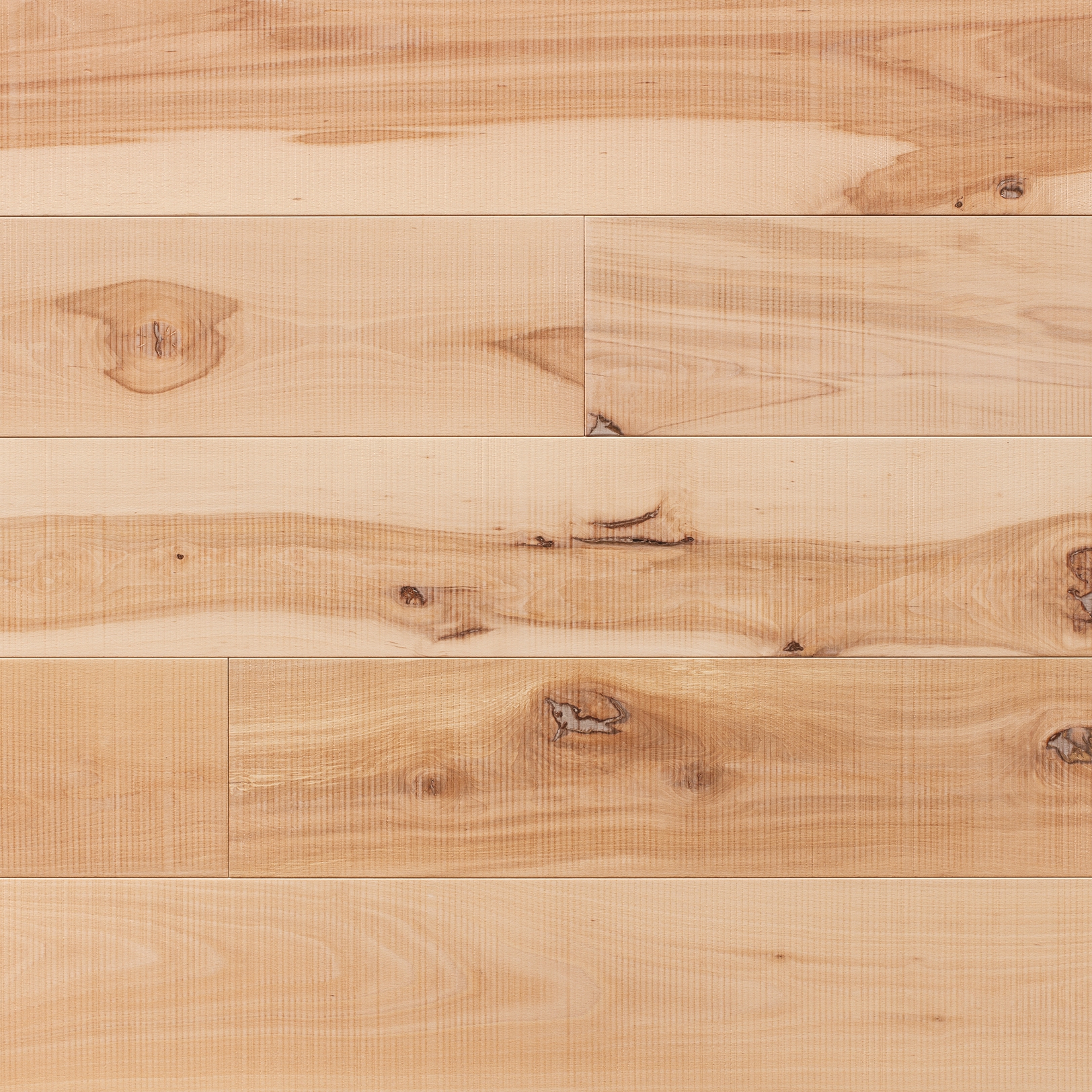 Mostrar el producto Assi del Cansiglio | Beech La Fenice del fabricante Itlas