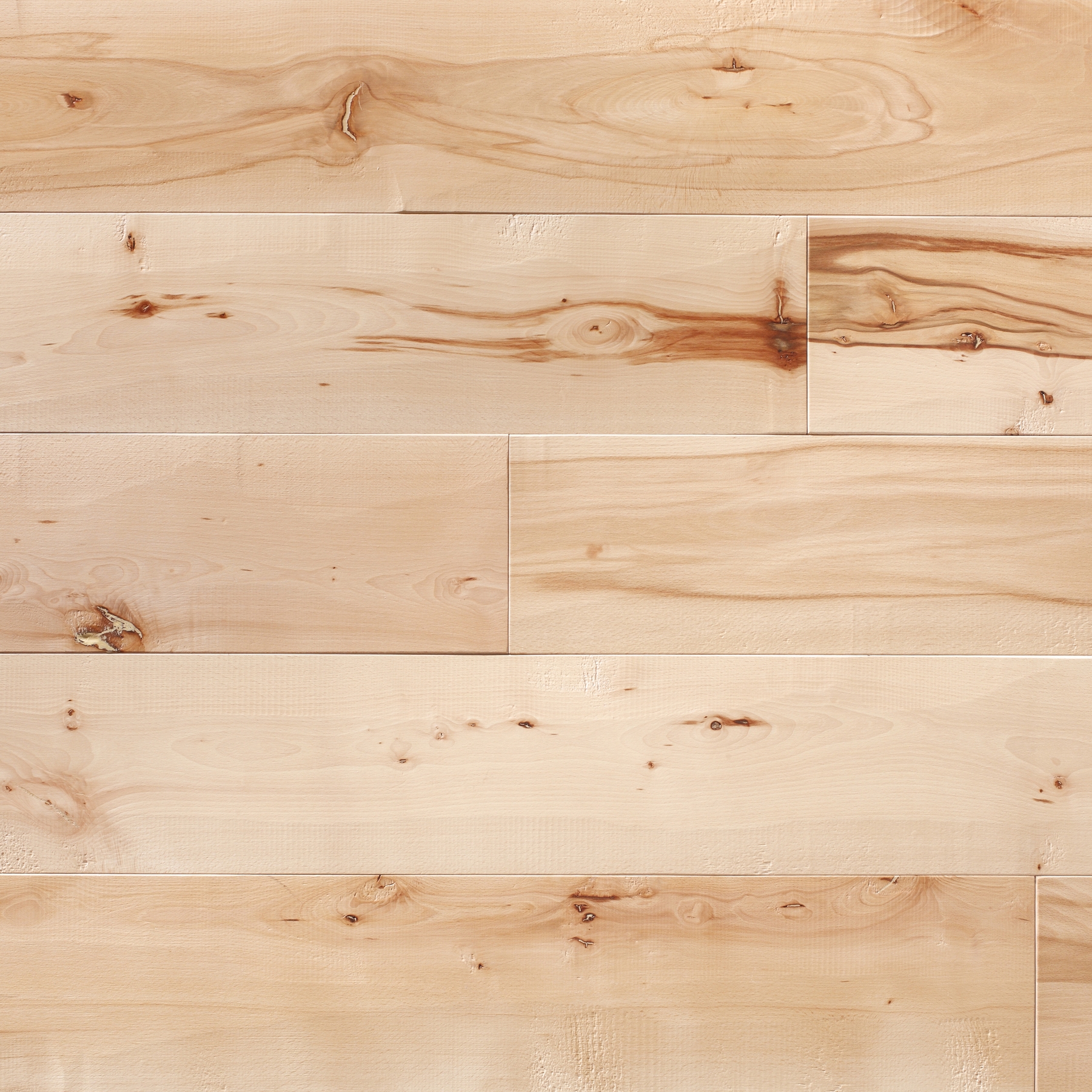 Mostrar el producto Assi del Cansiglio | Beech La Serenissima del fabricante Itlas