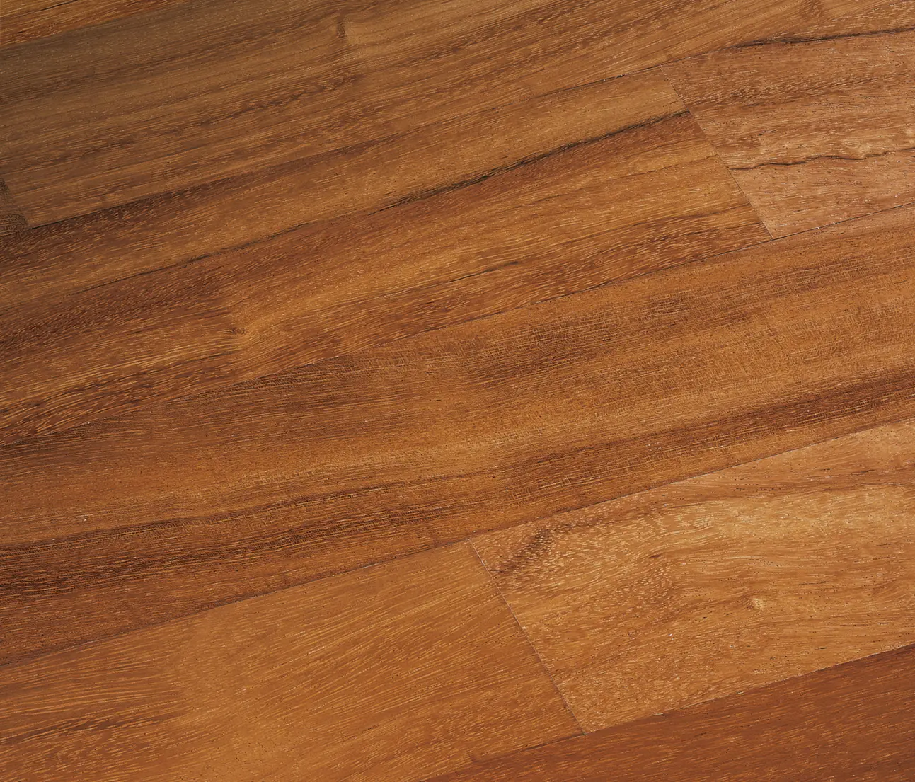 gallery-slide-0