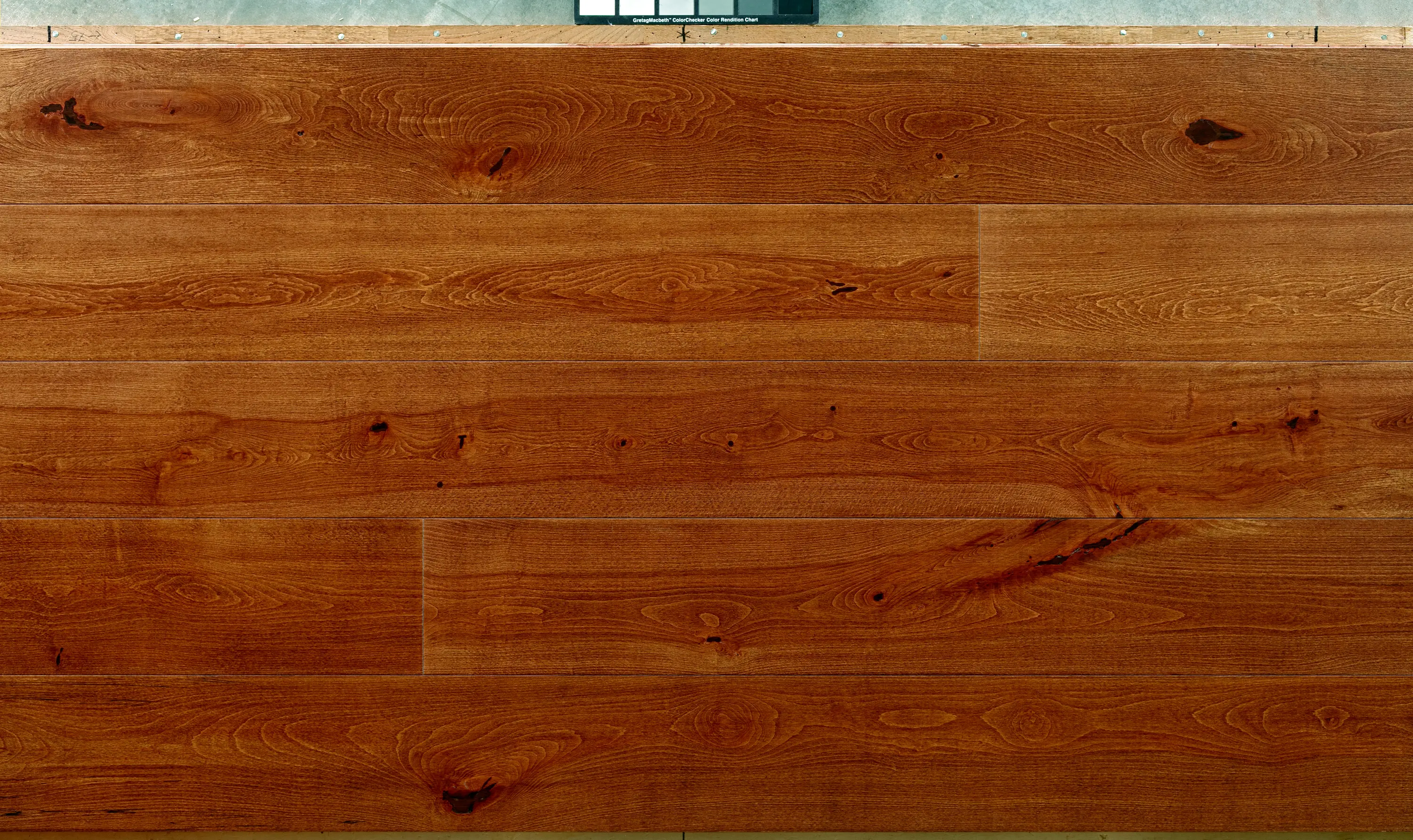 Itlas - Assi del Cansiglio | Beech Rinascimento