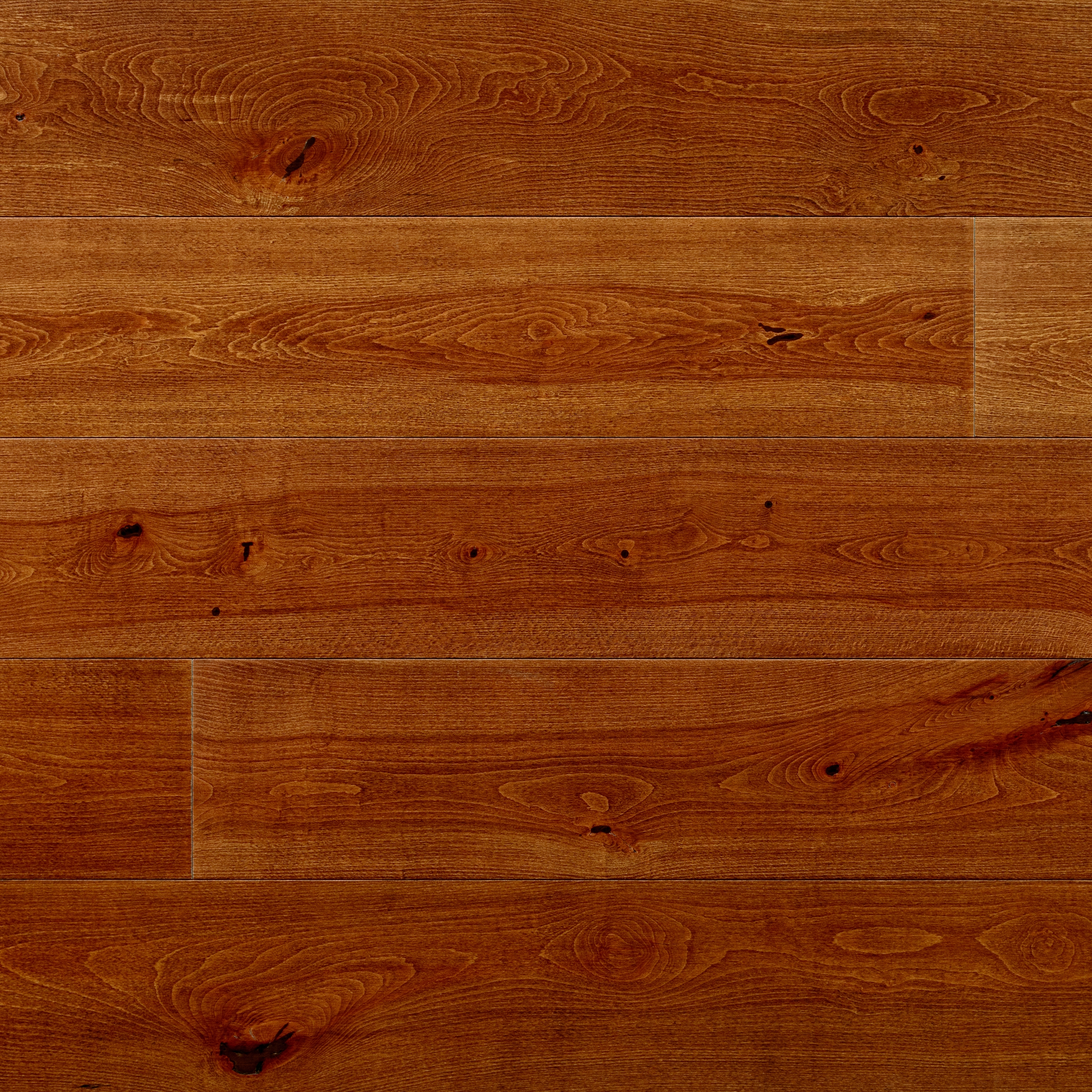 Mostrar el producto Assi del Cansiglio | Beech Rinascimento del fabricante Itlas