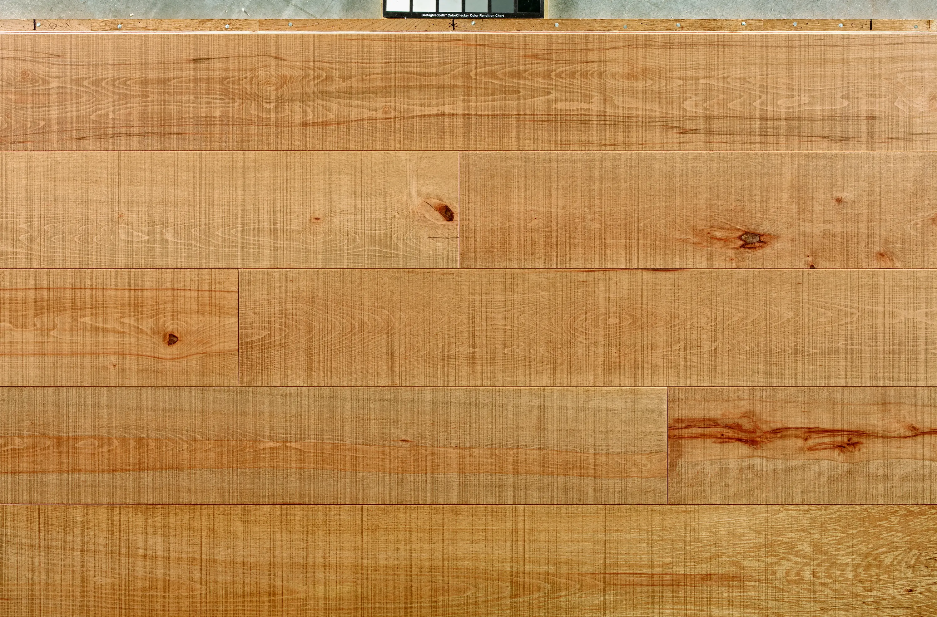 Itlas - Assi del Cansiglio | Beech Foresta Viva