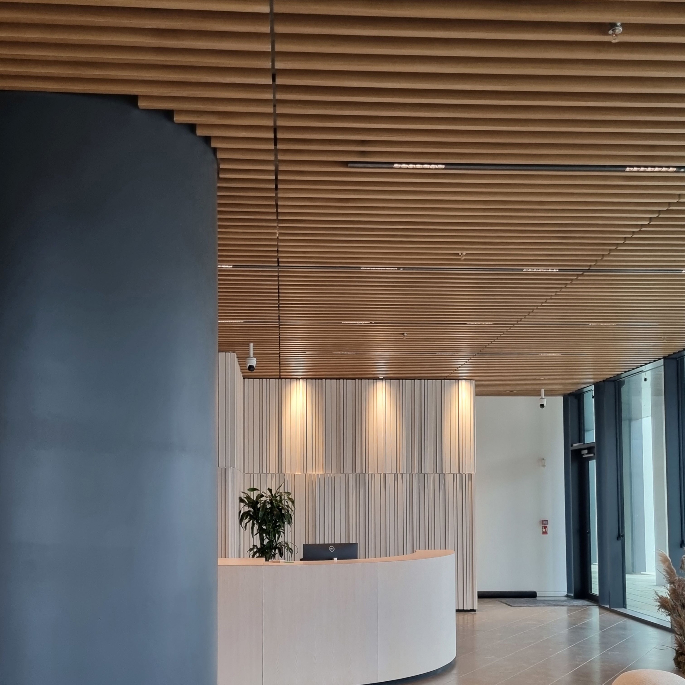 Display product RIBline Timber Slats Ceiling from manufacturer Lindner Group