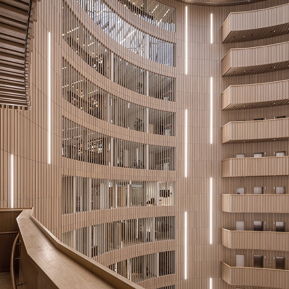 Mostra il prodotto RIBline Timber Slats Wall del produttore Lindner Group