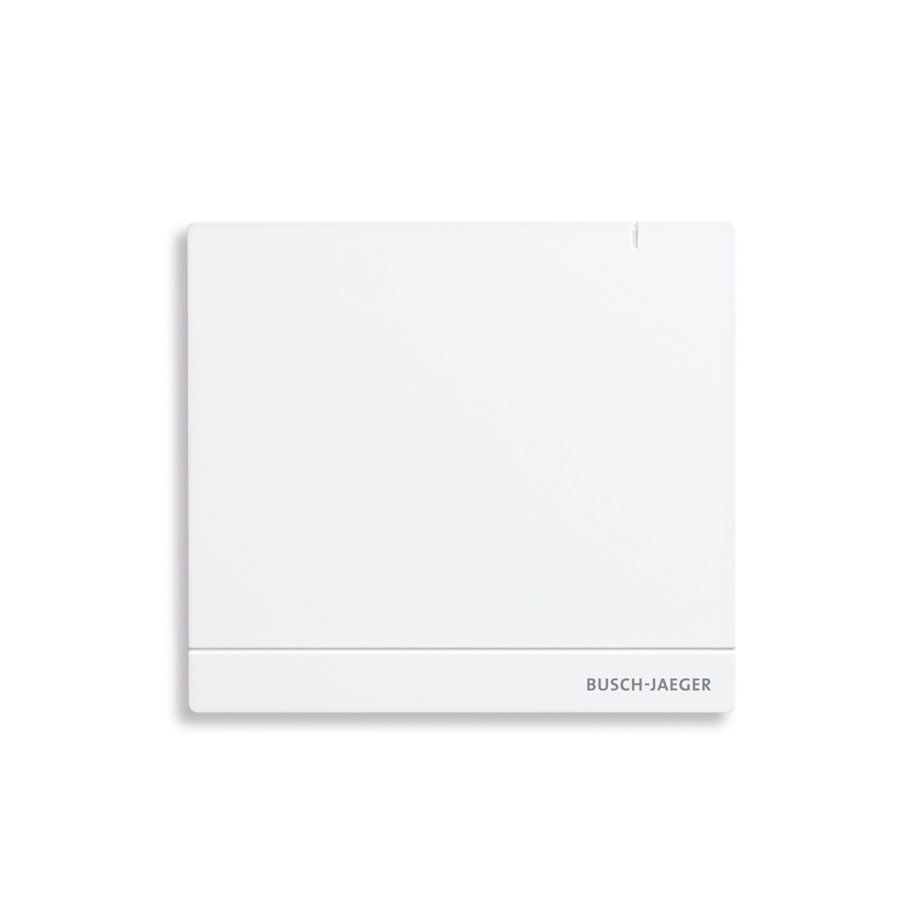 Afficher le produit System Access Point 2.0 du fabricant Busch-Jaeger