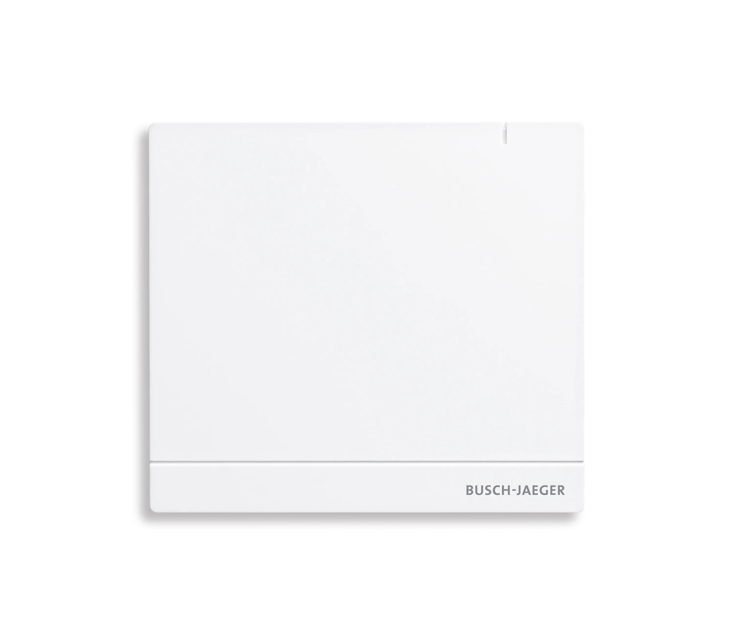 Busch-Jaeger - System Access Point 2.0