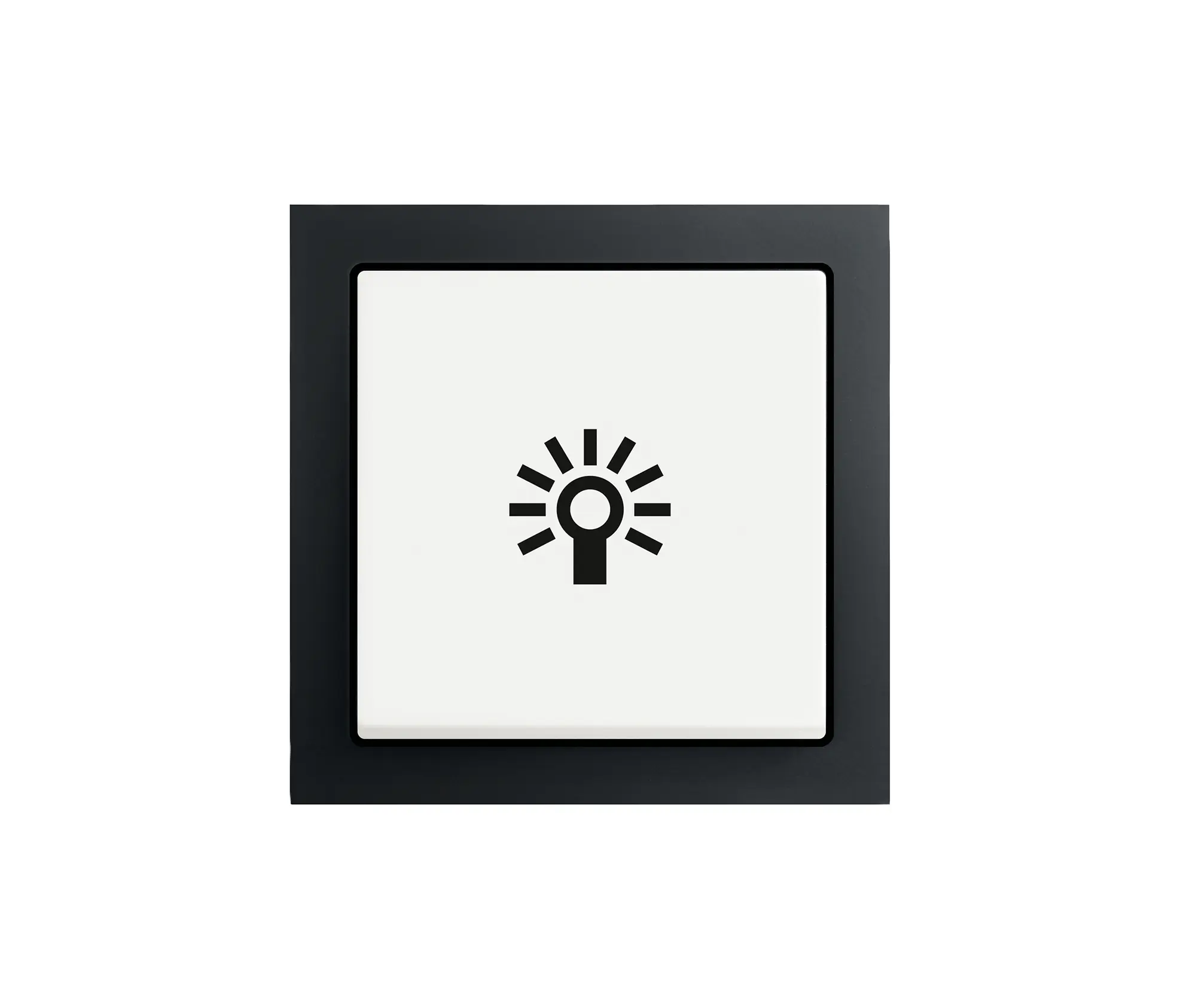 Busch-Jaeger - Future® Linear with Symbol