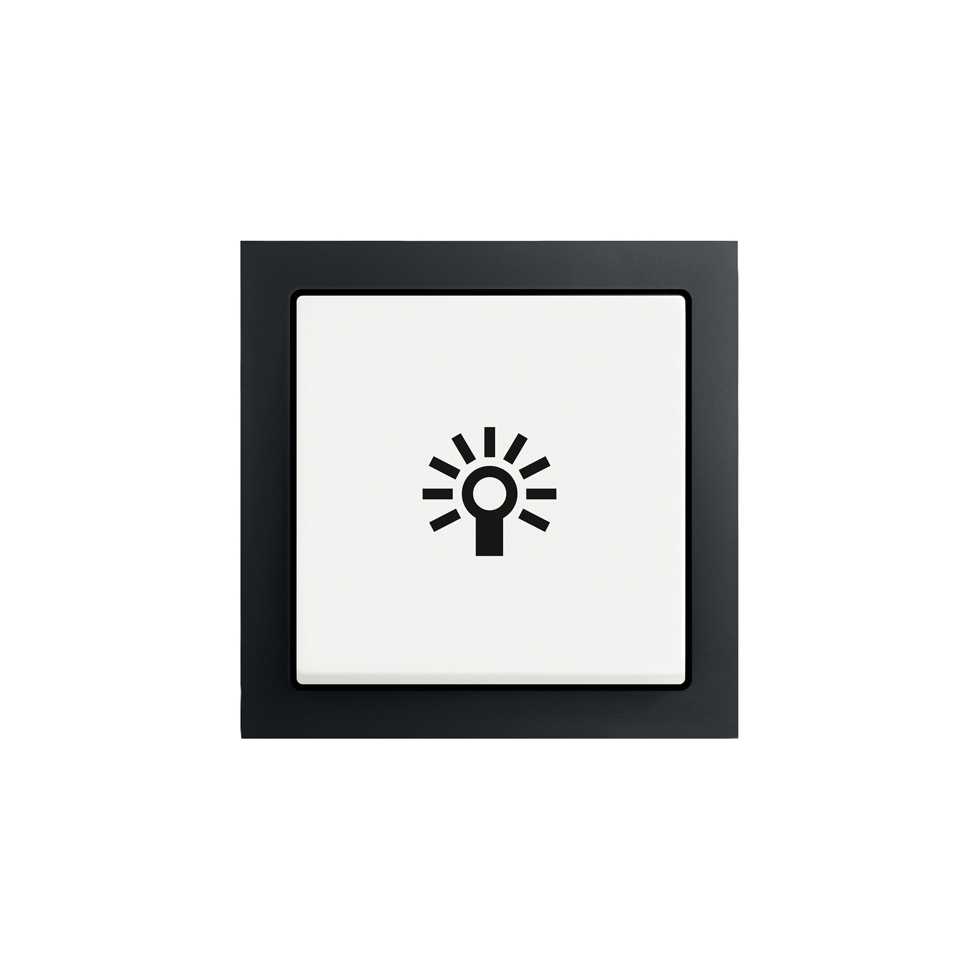 Afficher le produit Future® Linear with Symbol du fabricant Busch-Jaeger