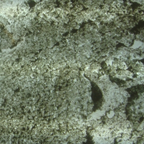 Produkt Dünnschiefer LGT 2500 Silver Grey des Herstellers StoneslikeStones anzeigen
